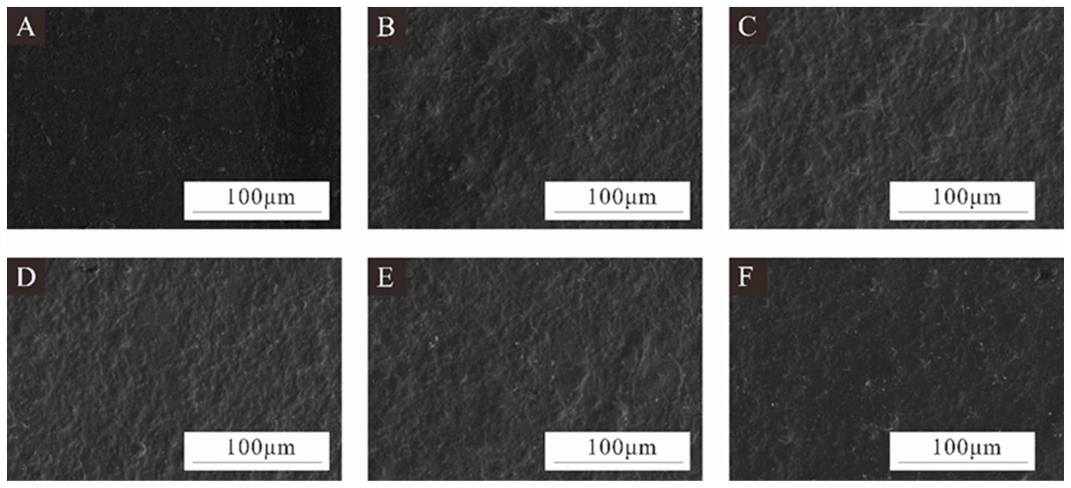 Coatings 14 00942 g004