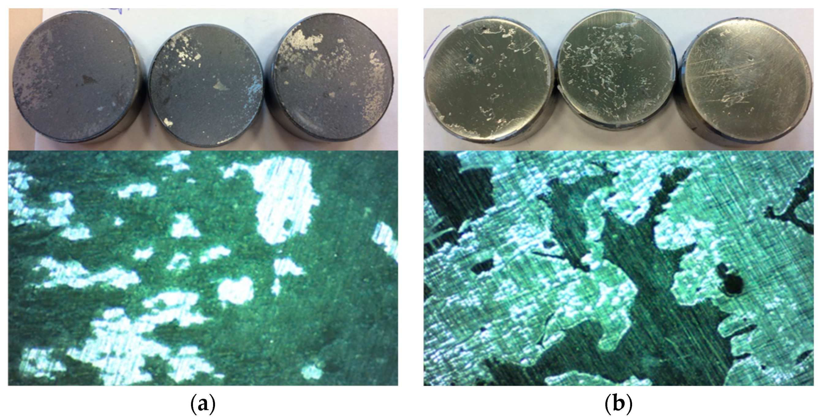 Coatings 14 00944 g013