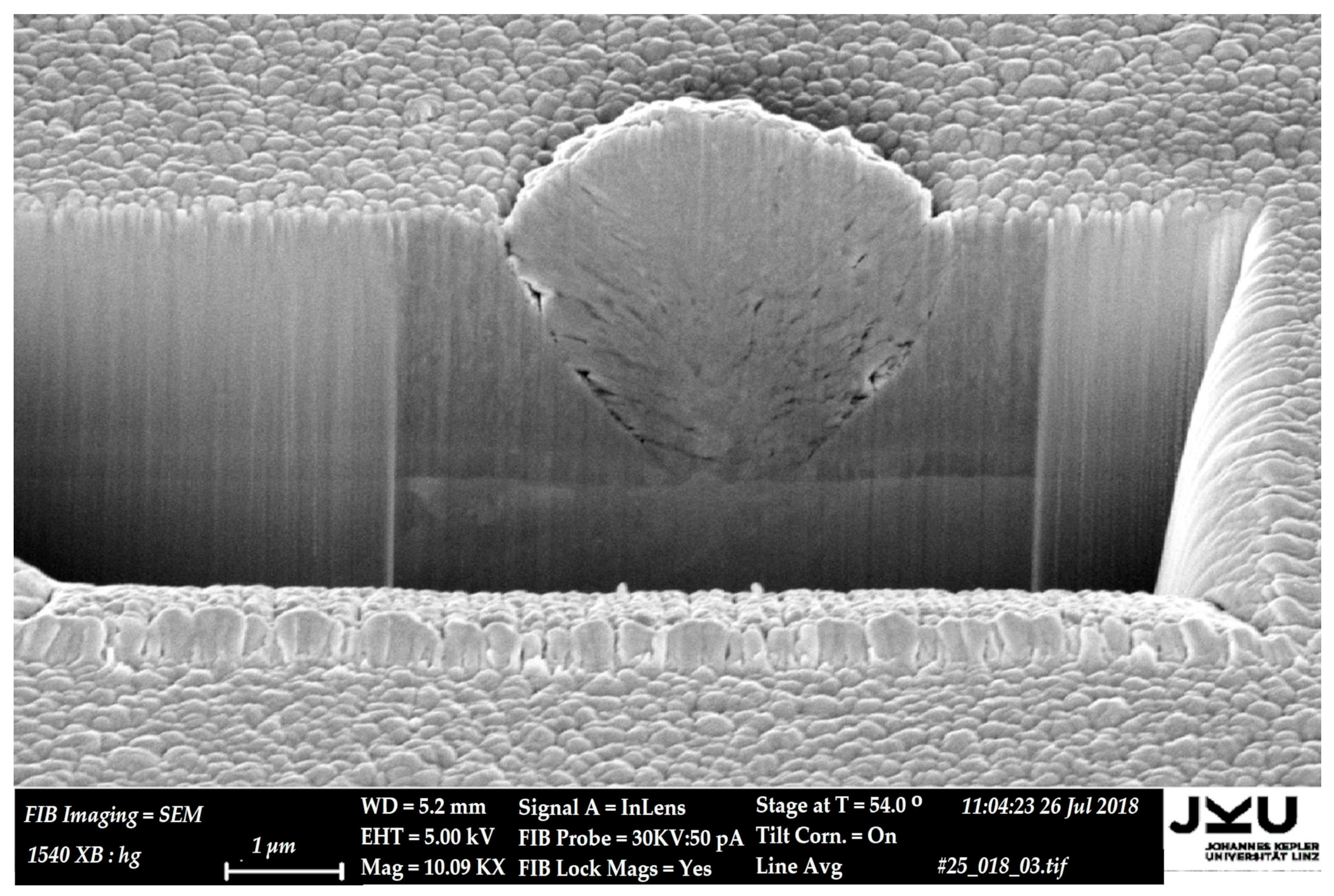Coatings 14 00946 g013 Coatings 14 00946 g013