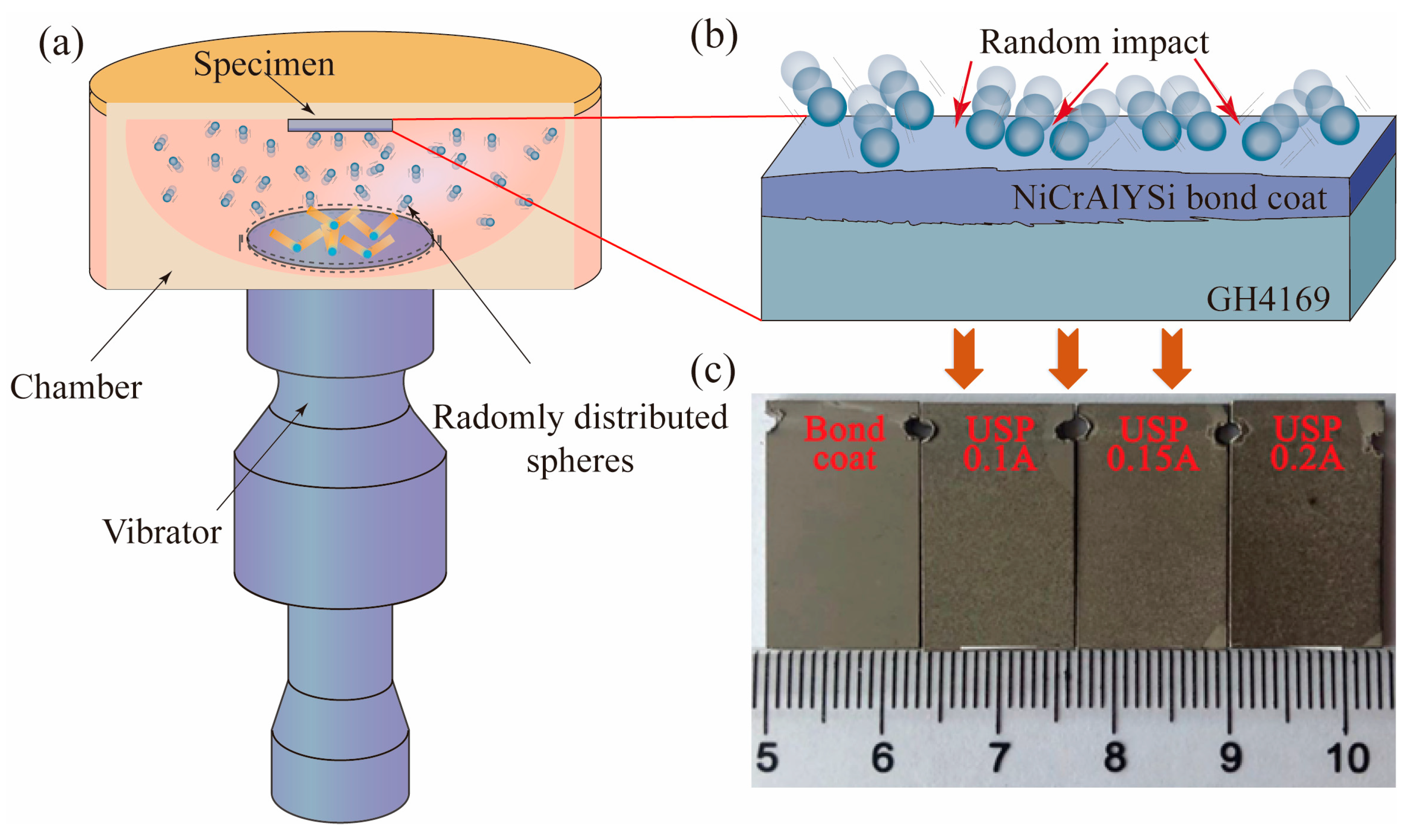 Coatings 14 00949 g001