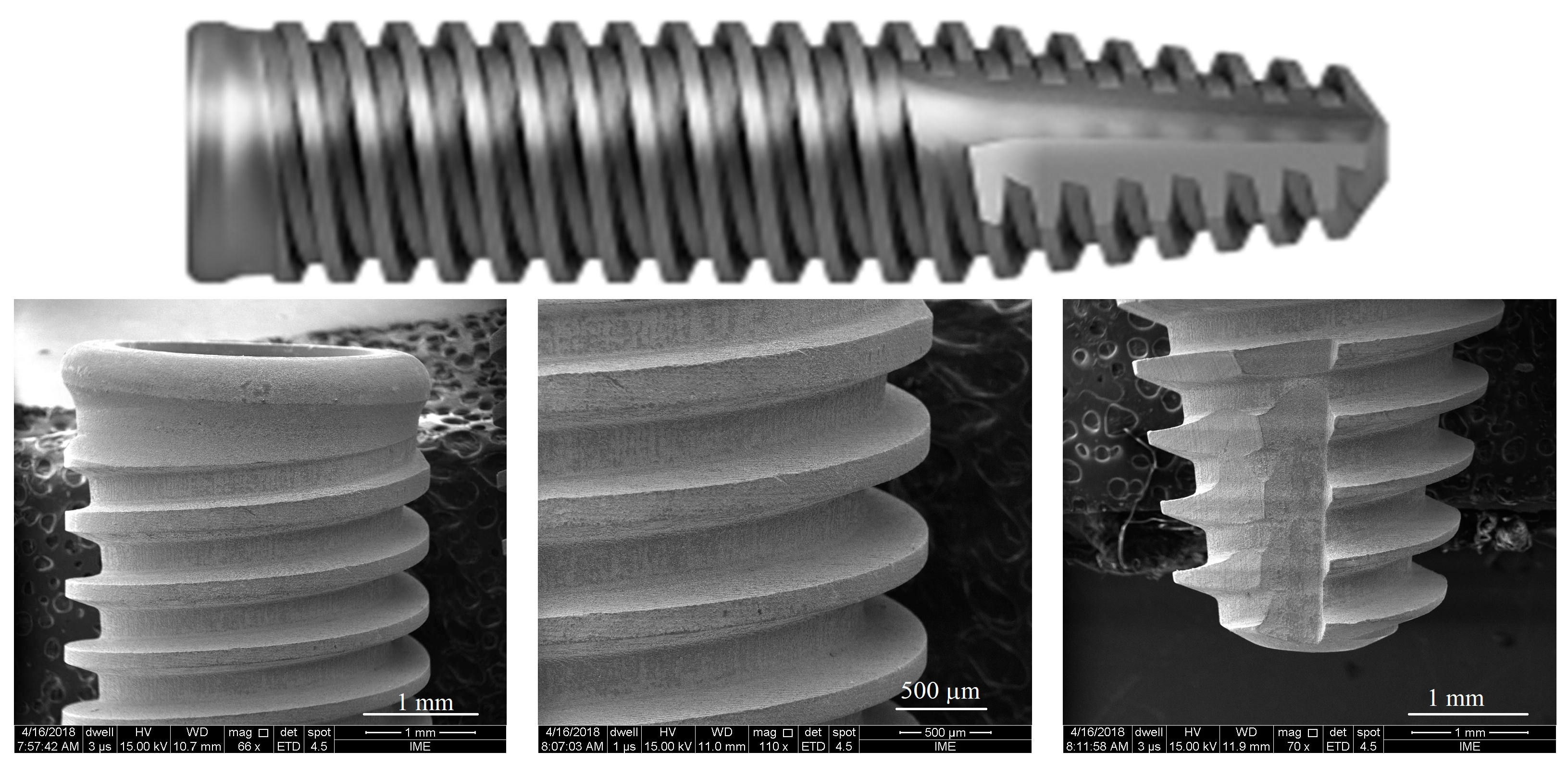Coatings 14 00951 g001