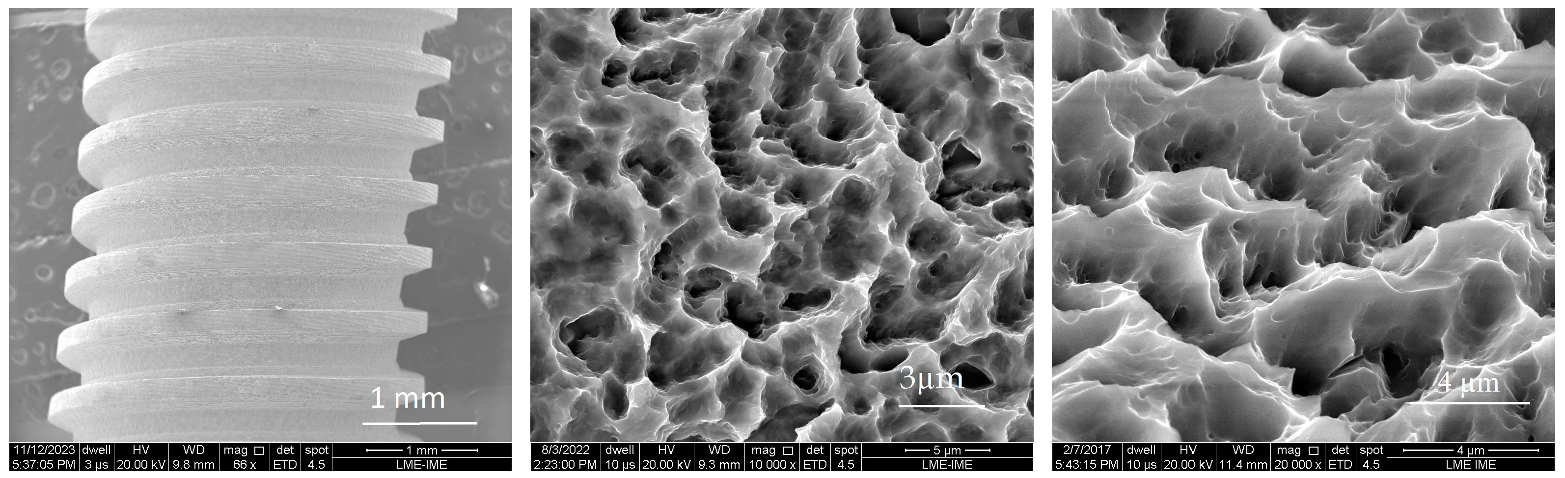 Coatings 14 00951 g003