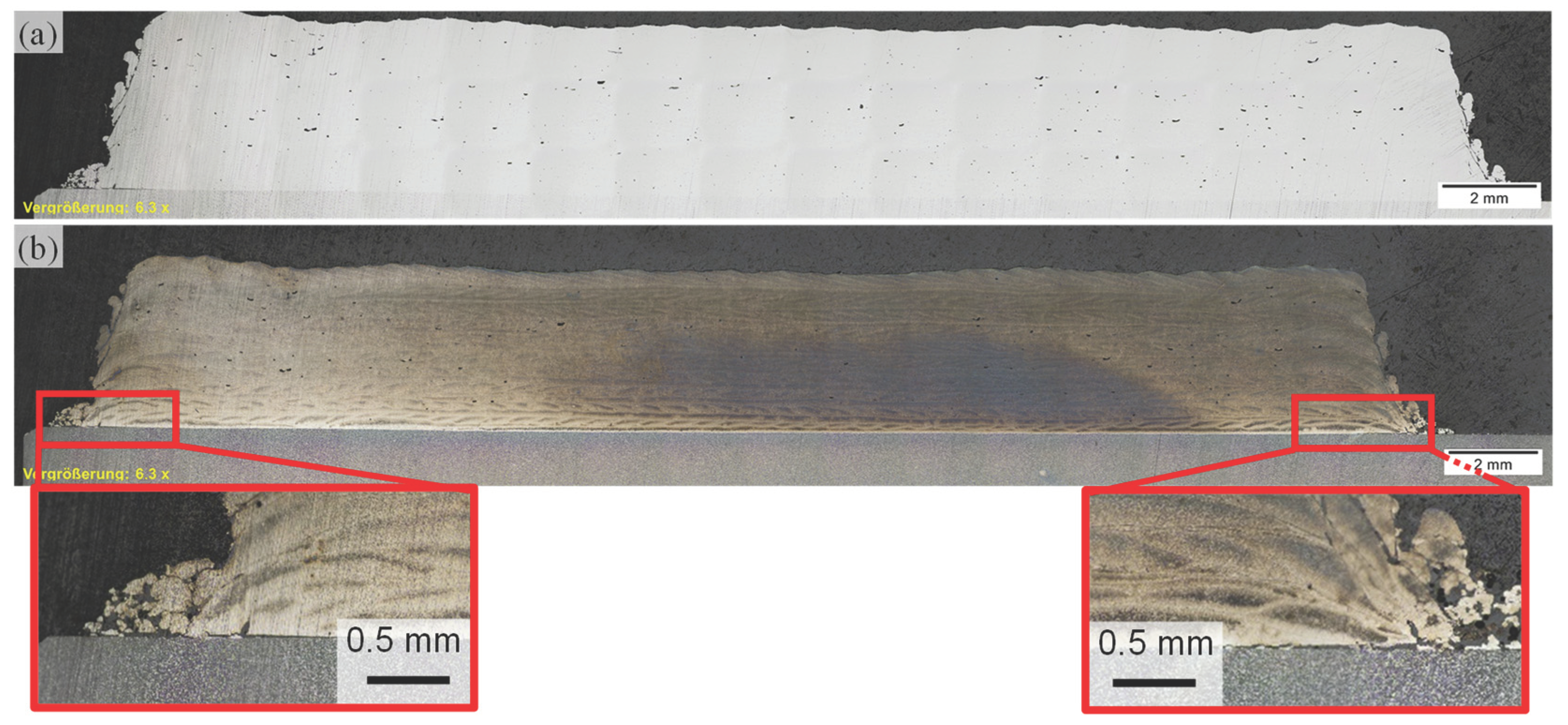Coatings 14 00953 g019