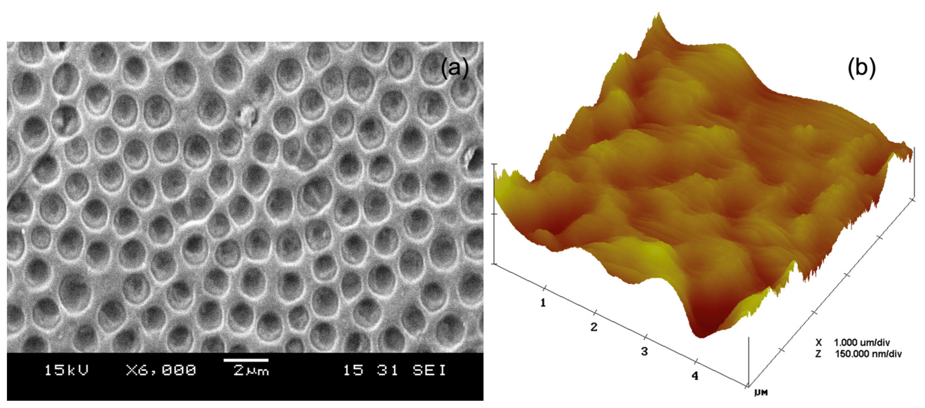 Coatings 14 00956 g010