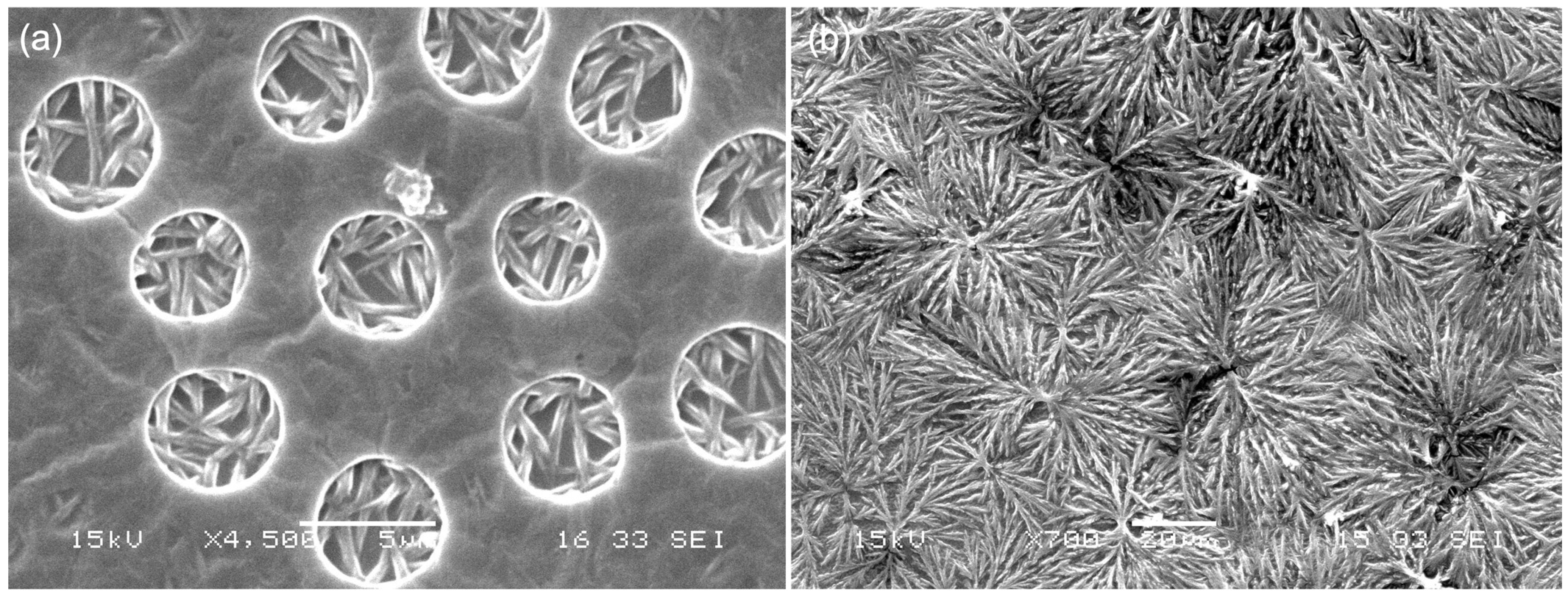 Coatings 14 00956 g012