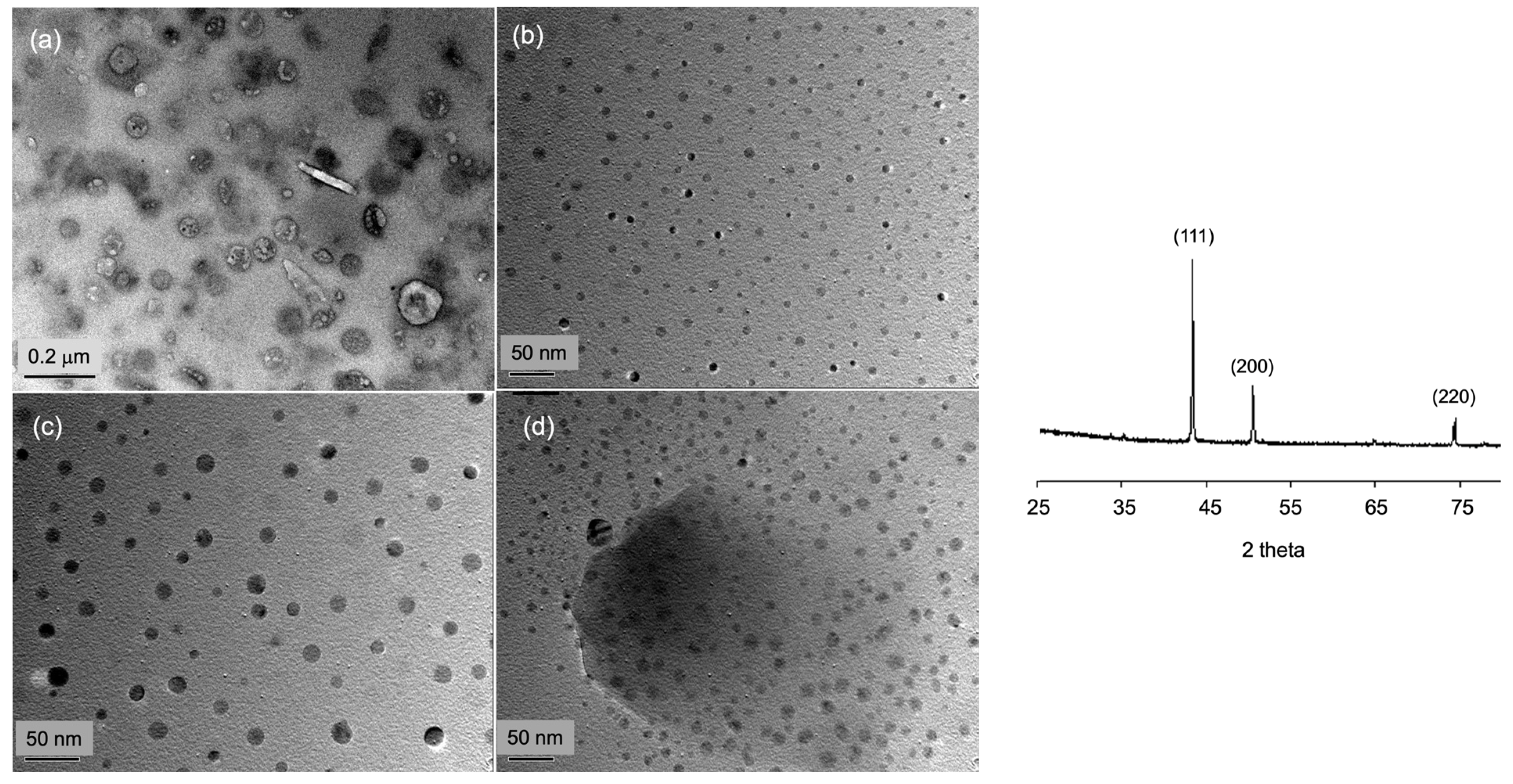 Coatings 14 00956 g014
