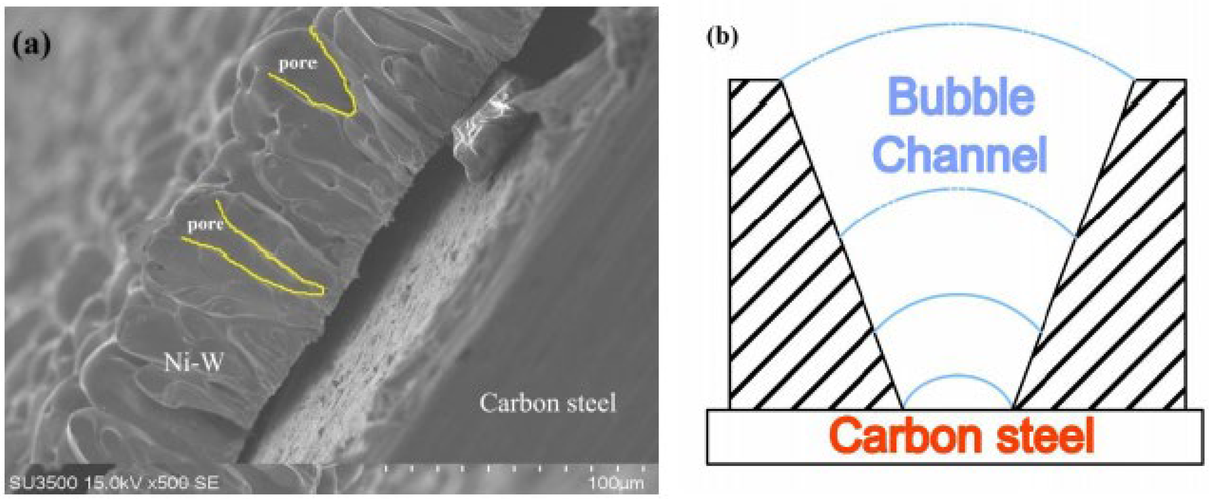 Coatings 14 00957 g004