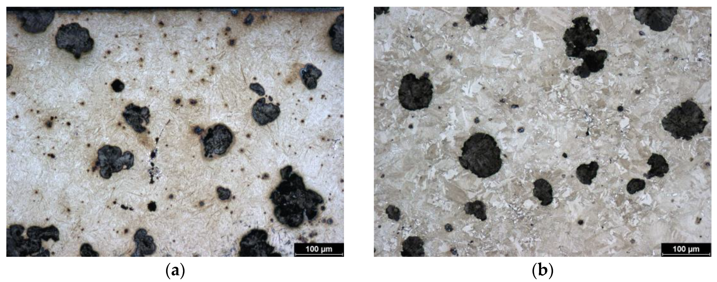 Coatings 14 00958 g005