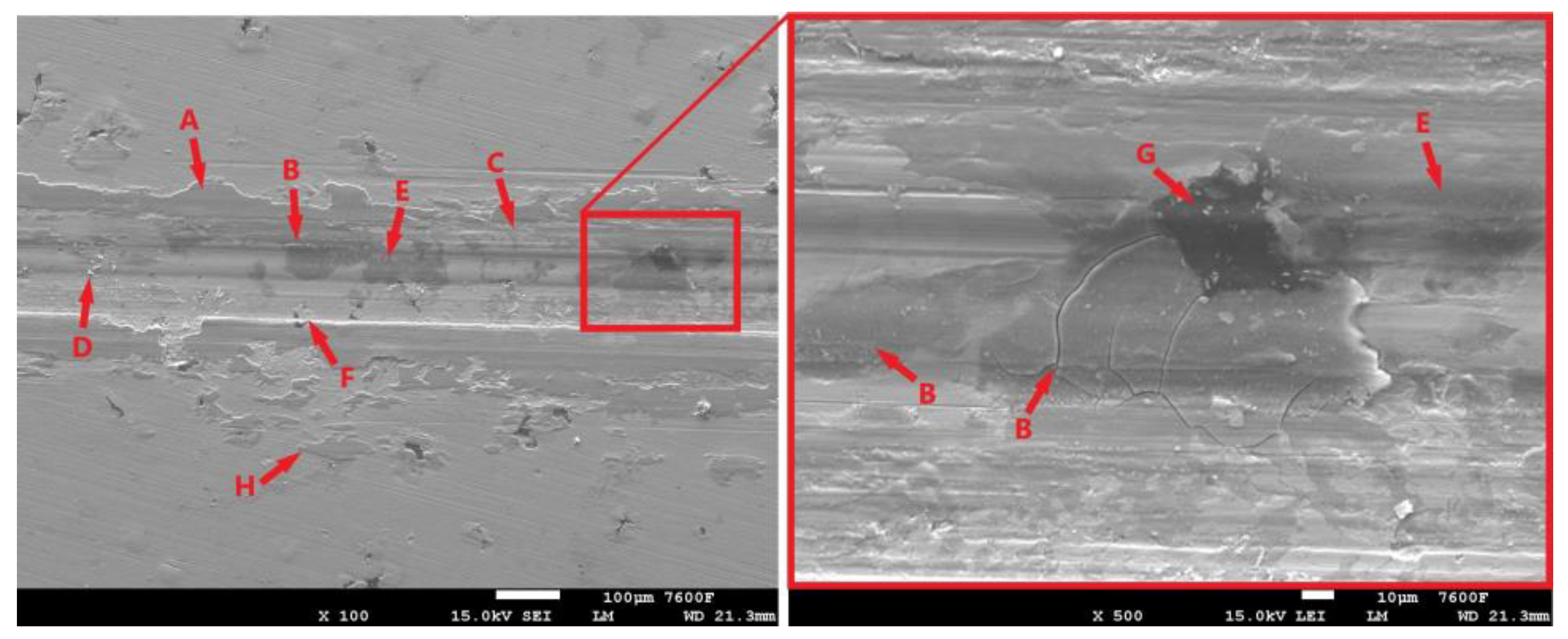 Coatings 14 00958 g012