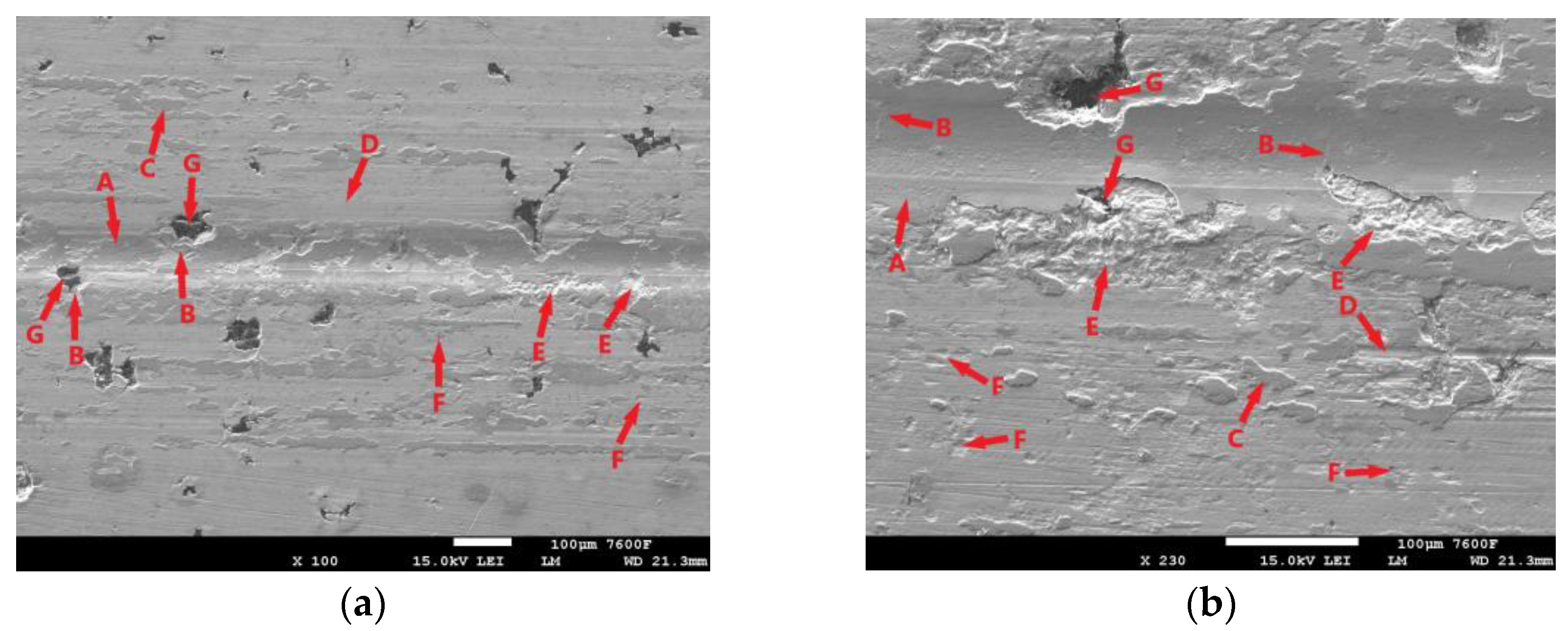 Coatings 14 00958 g013