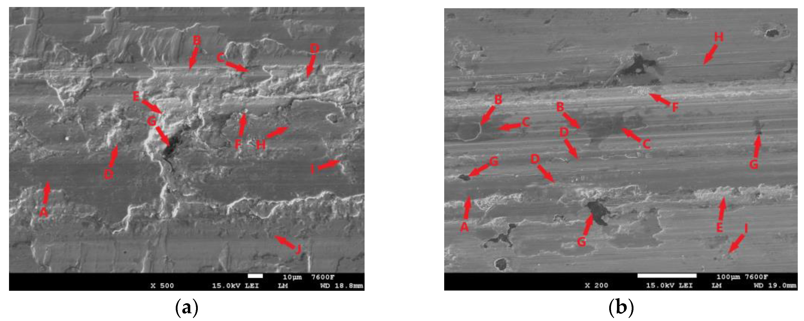 Coatings 14 00958 g024