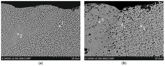 Coatings 14 00959 g004