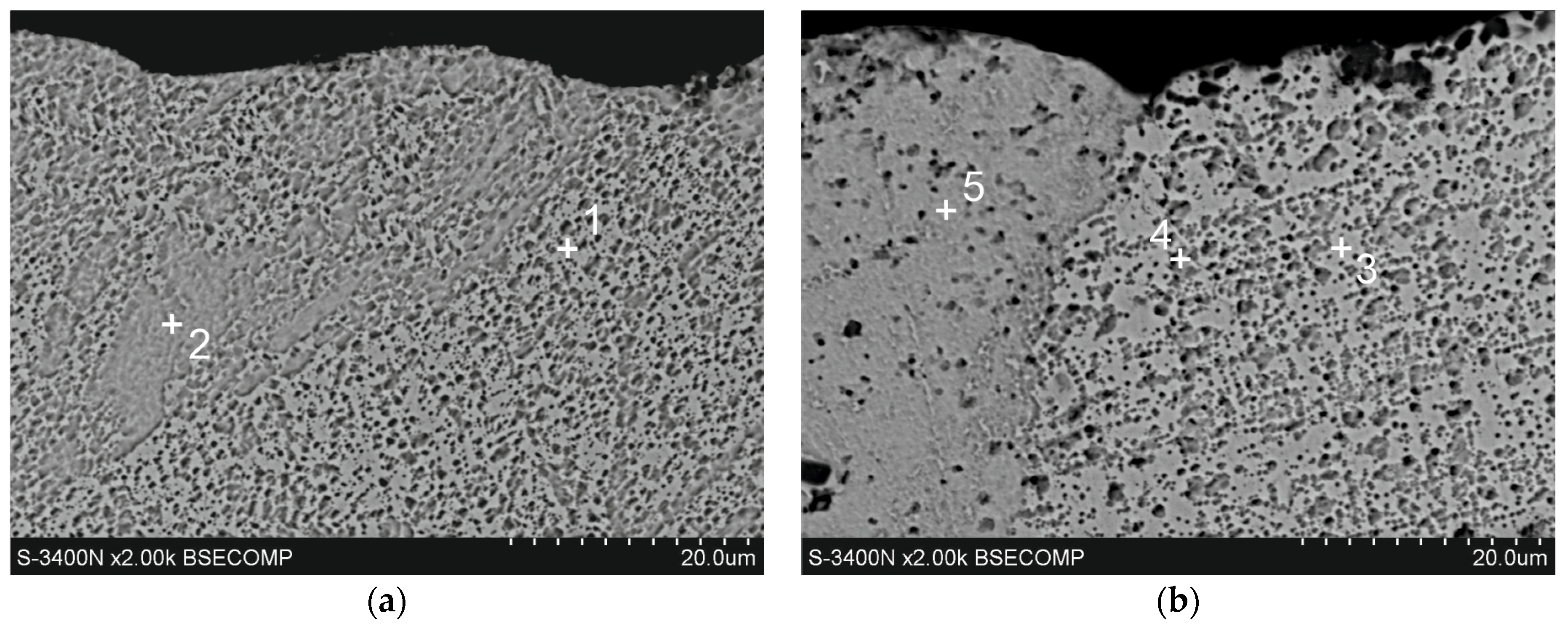 Coatings 14 00959 g004