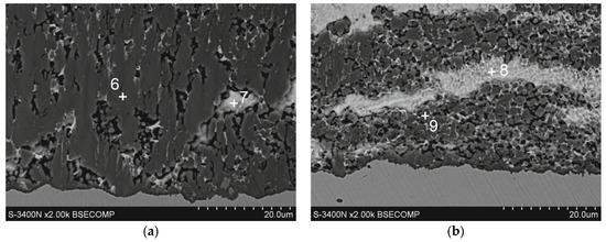 Coatings 14 00959 g006