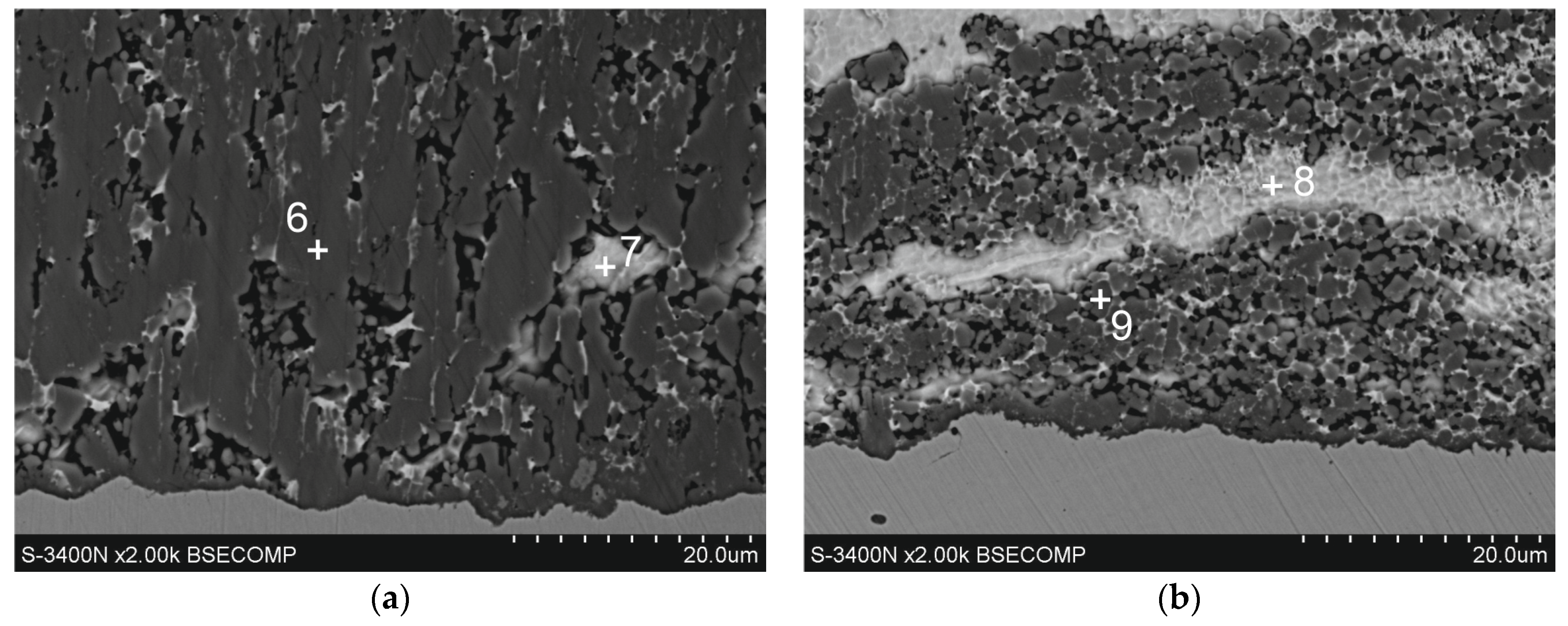 Coatings 14 00959 g006