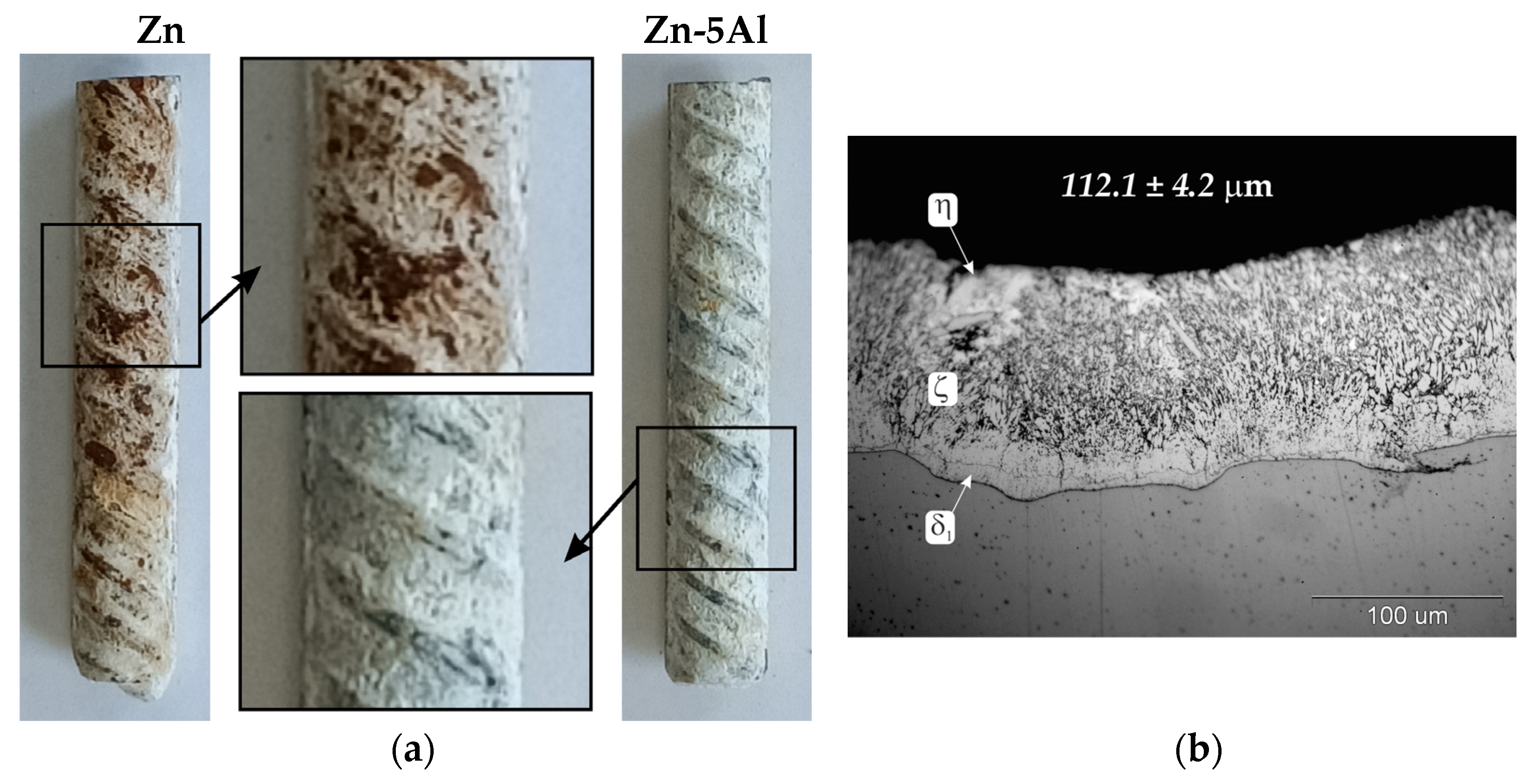 Coatings 14 00959 g007