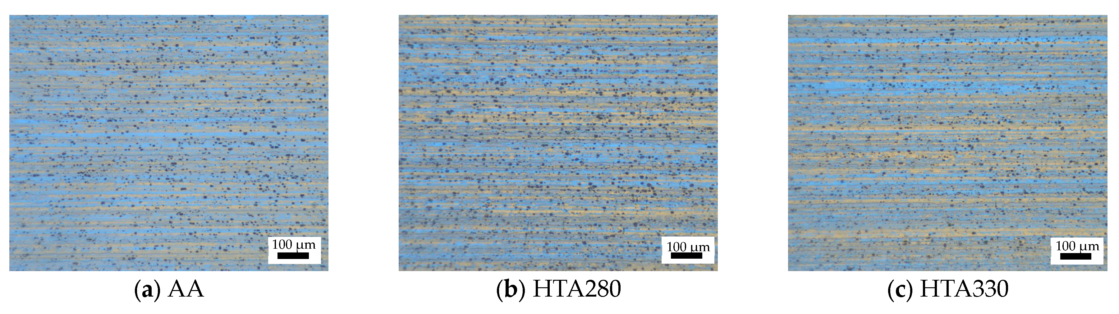 Coatings 14 00963 g008