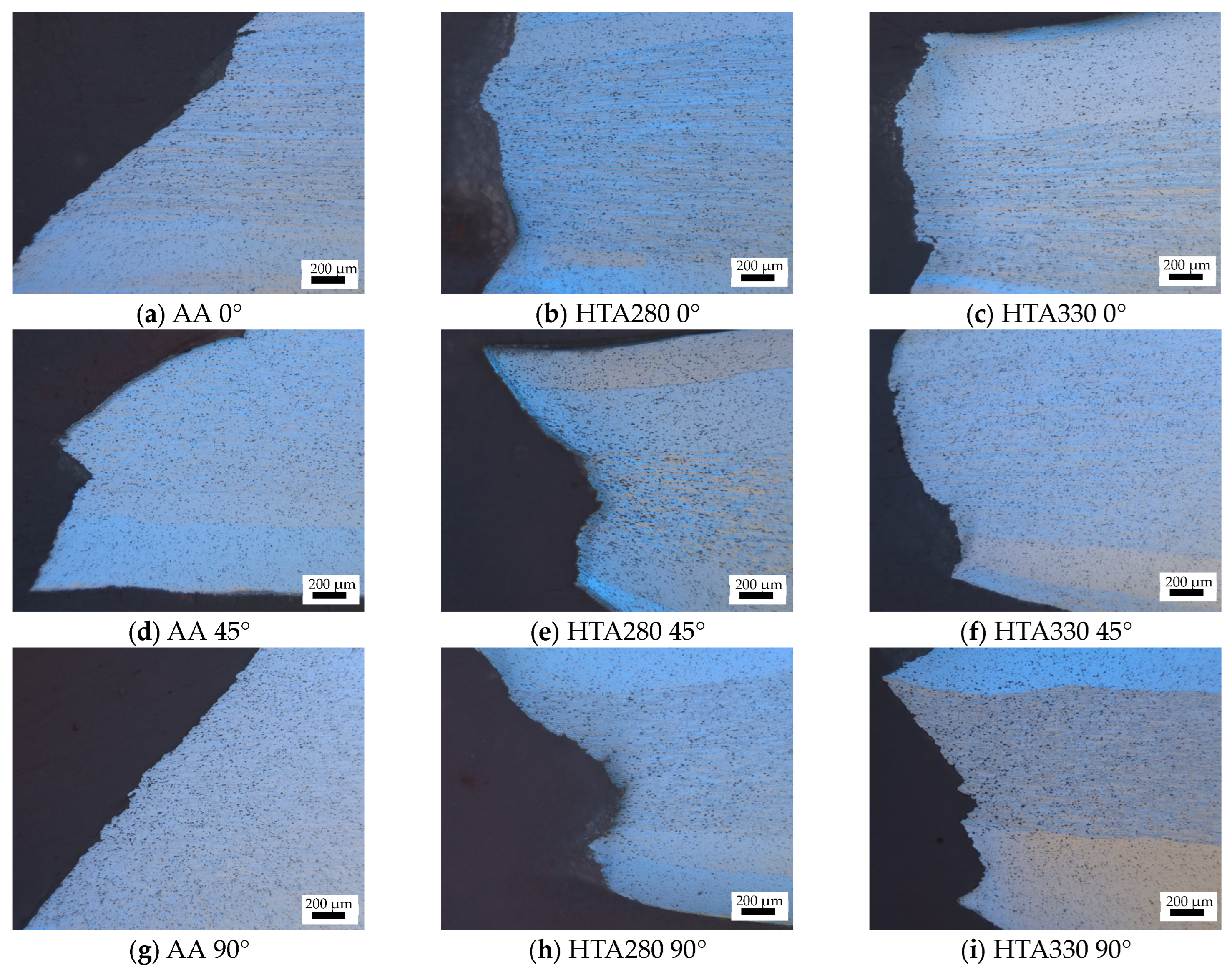 Coatings 14 00963 g009