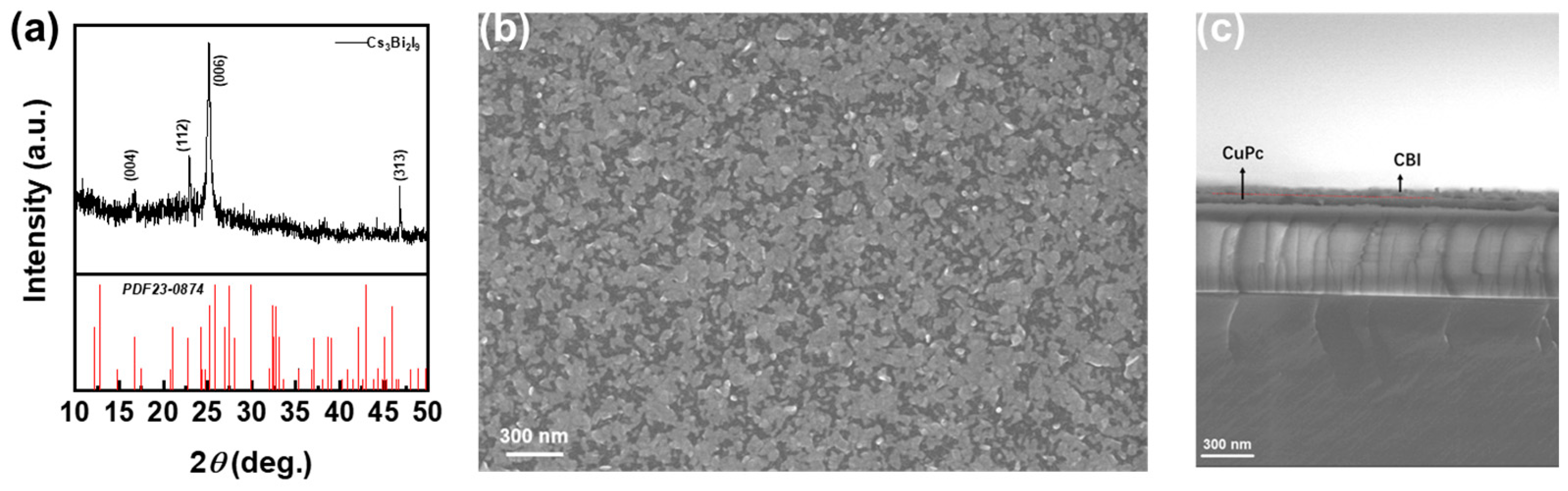 Coatings 14 00966 g003