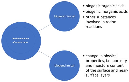 Coatings 14 00985 g003