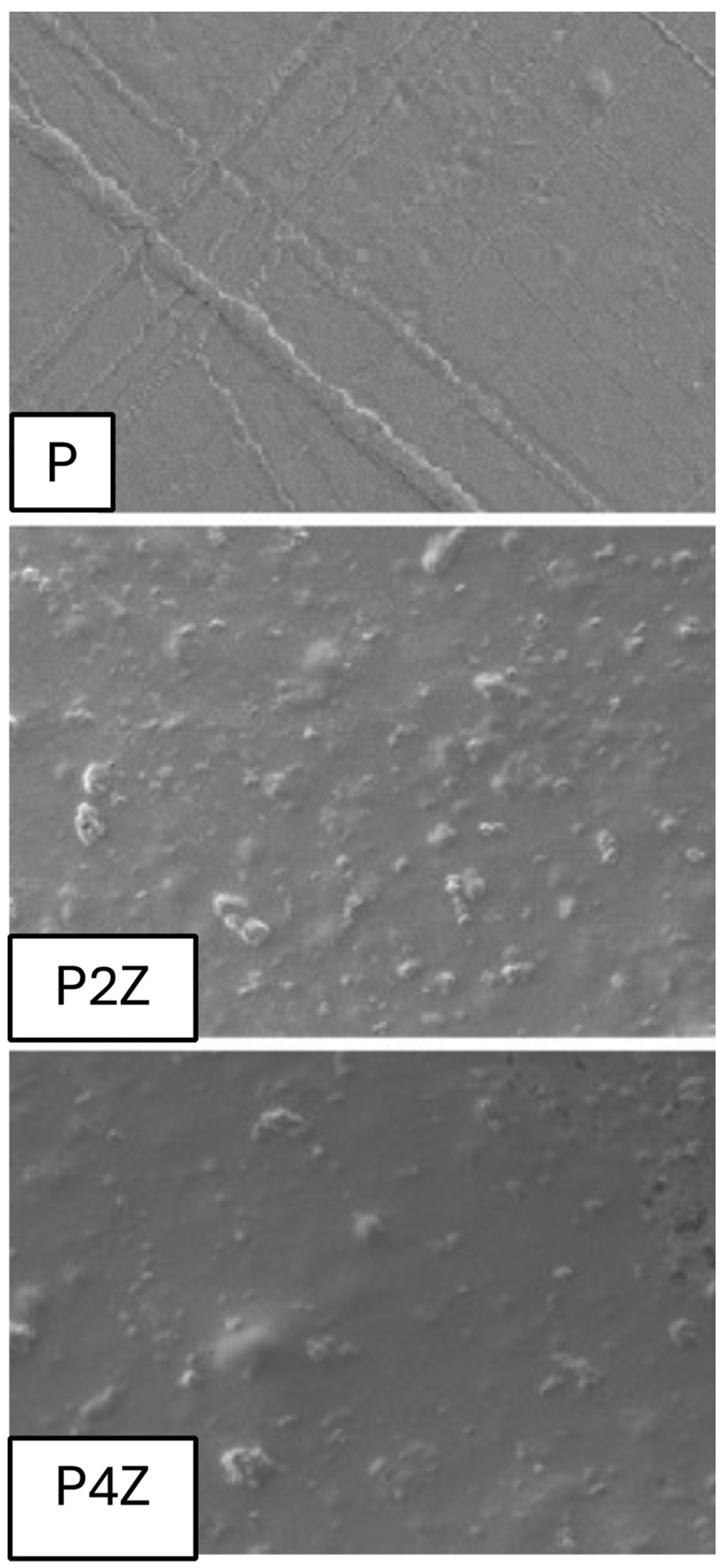 Coatings 14 00990 g004