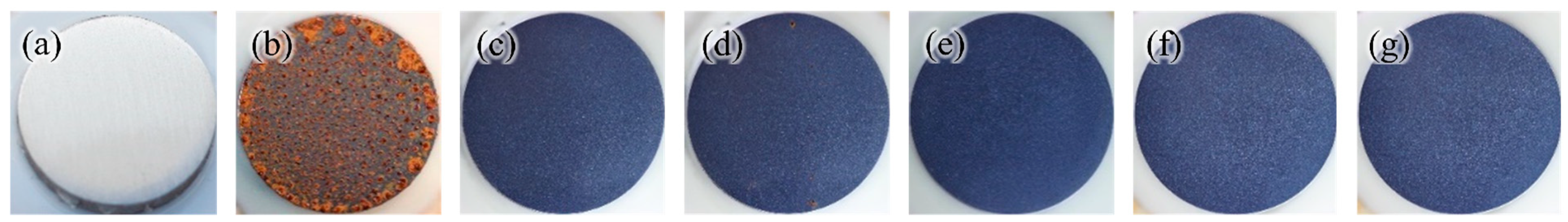 Coatings 14 00997 g004