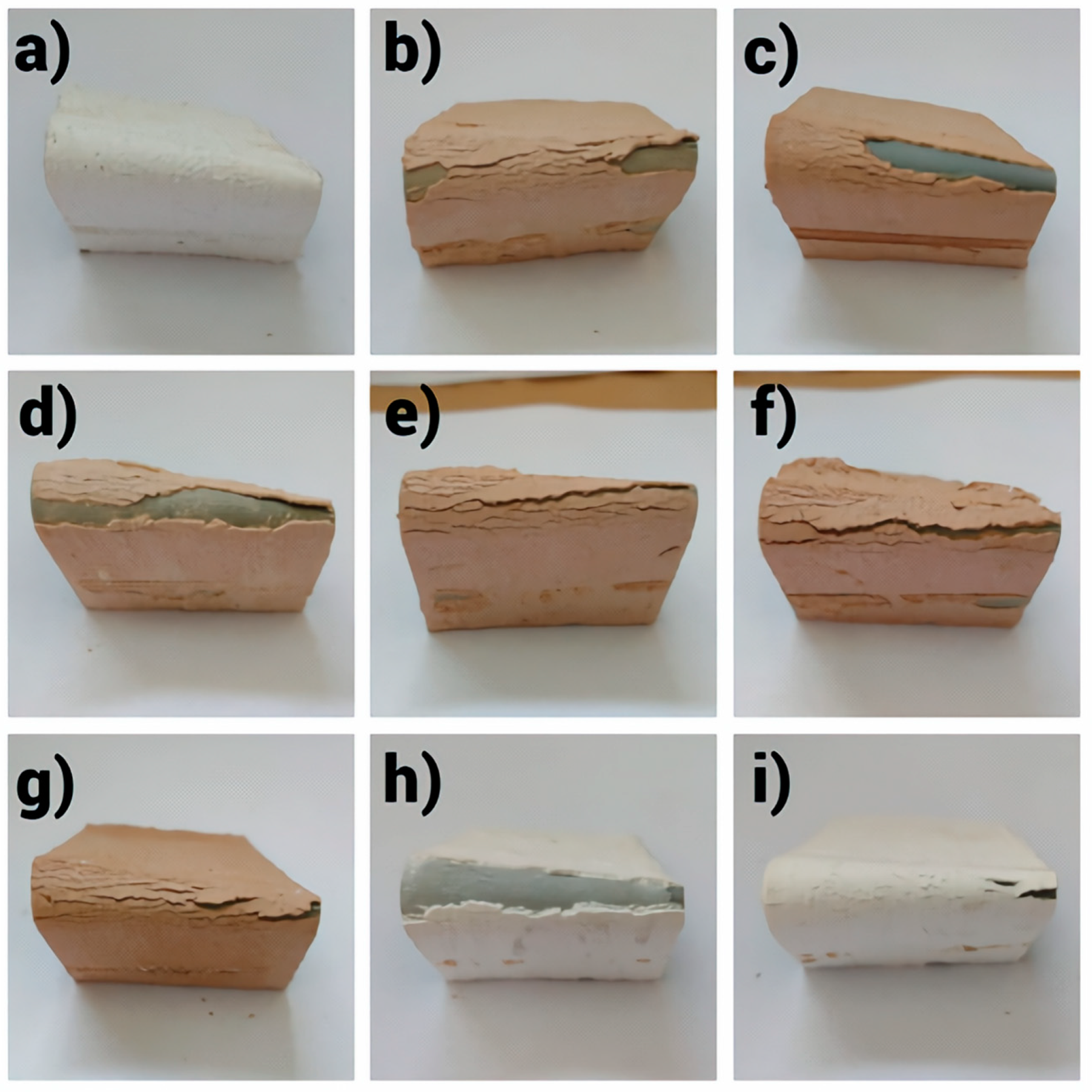 Coatings 14 01004 g002