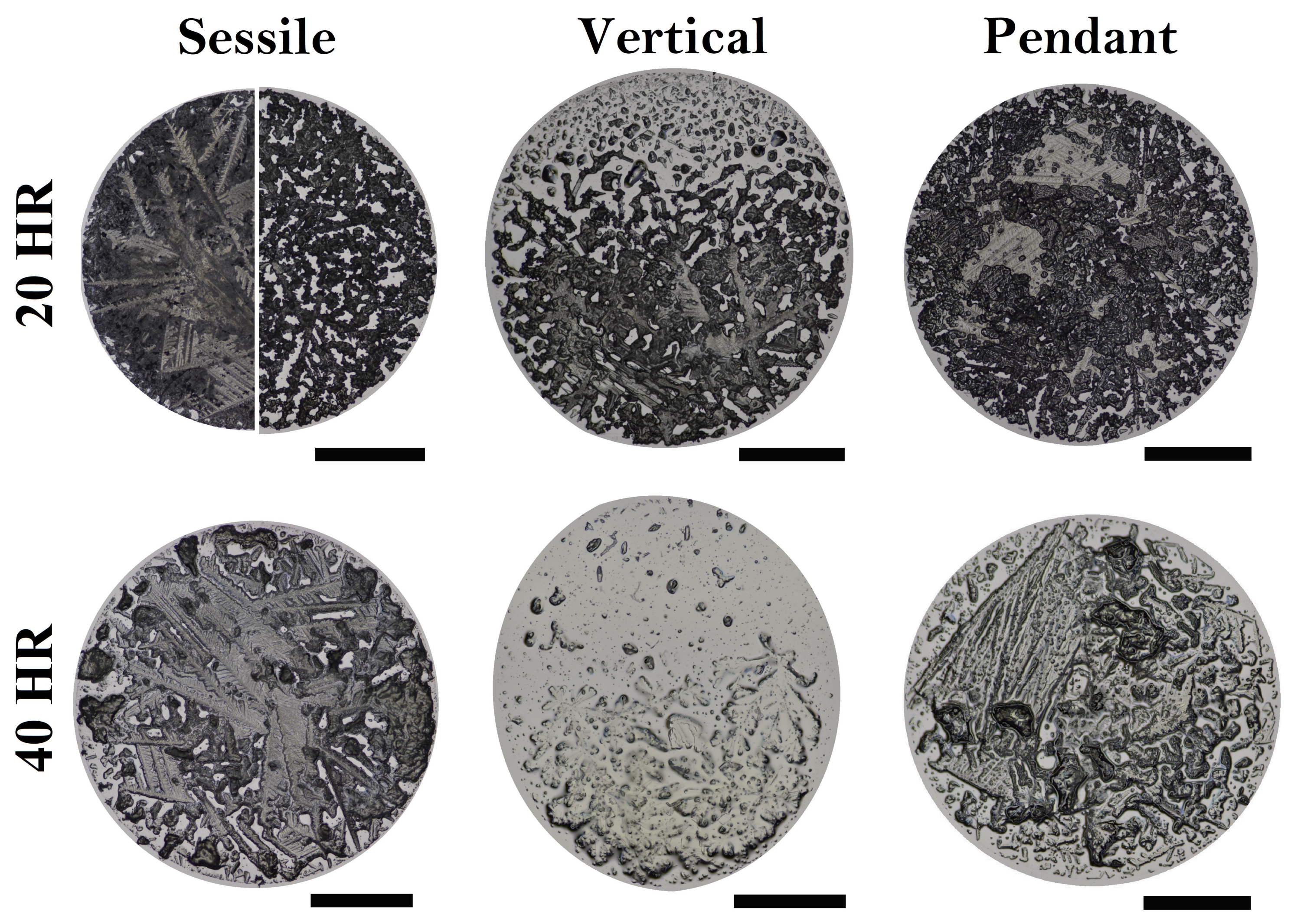 Coatings 14 01007 g002
