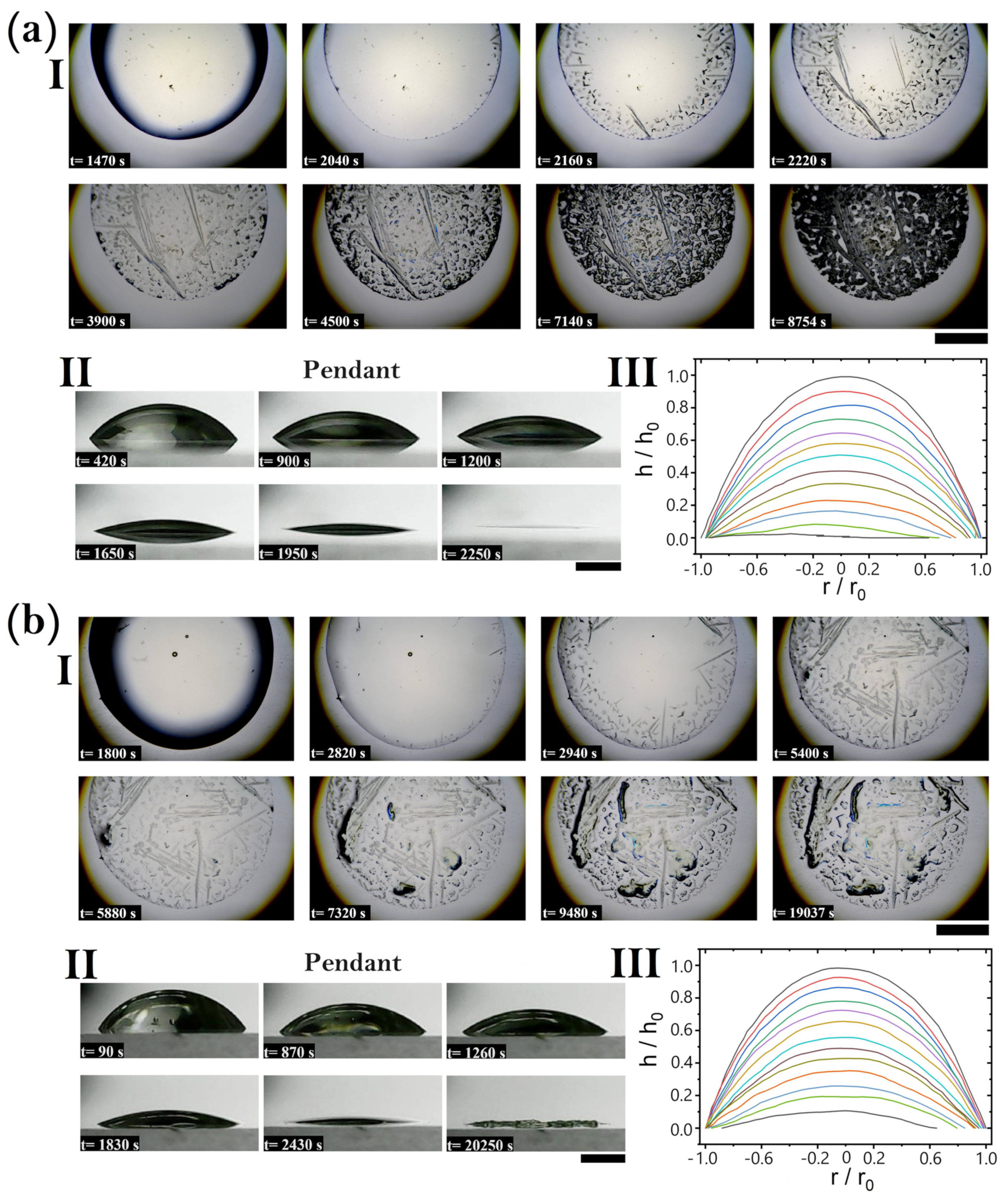 Coatings 14 01007 g006