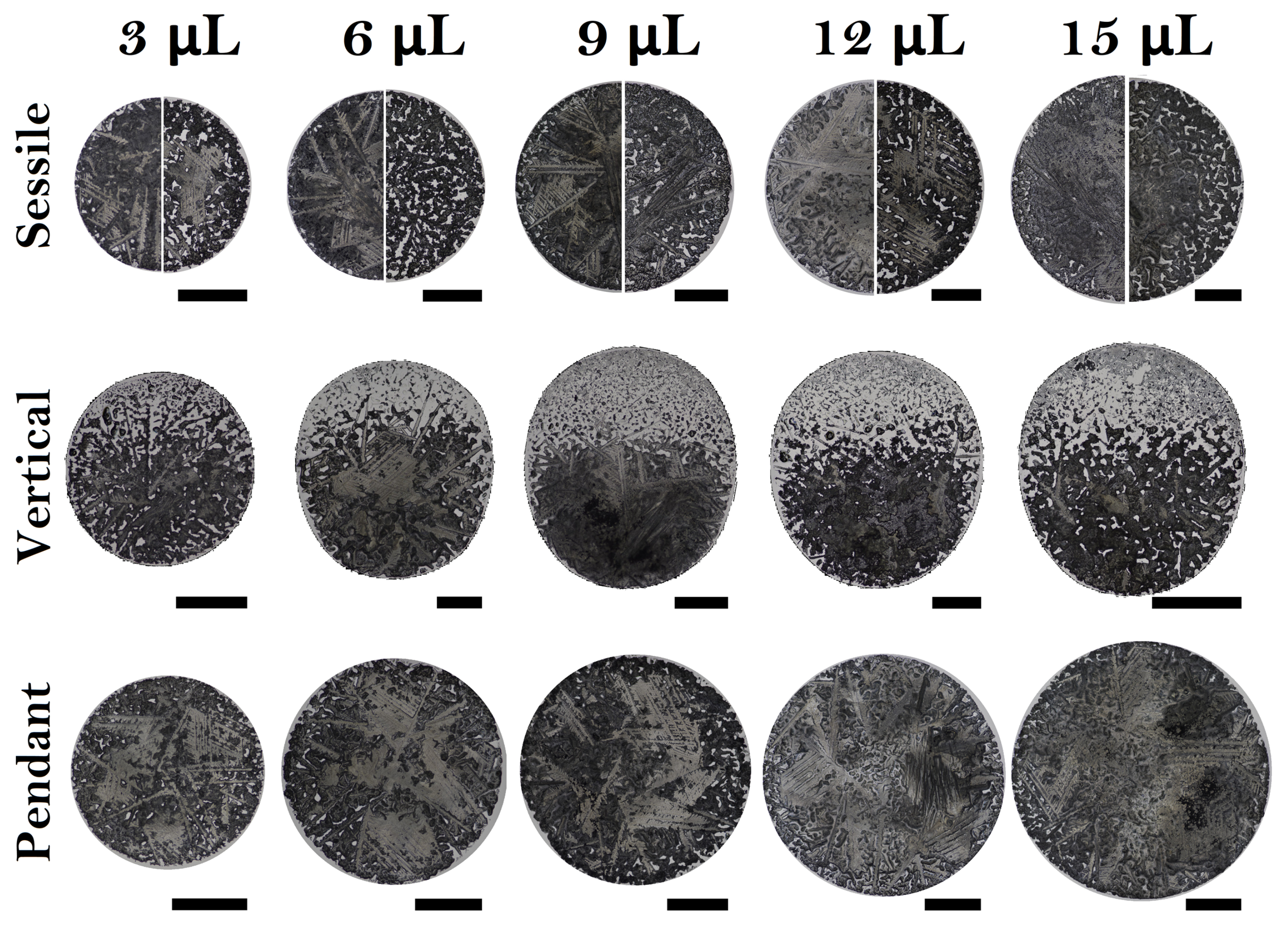 Coatings 14 01007 g008