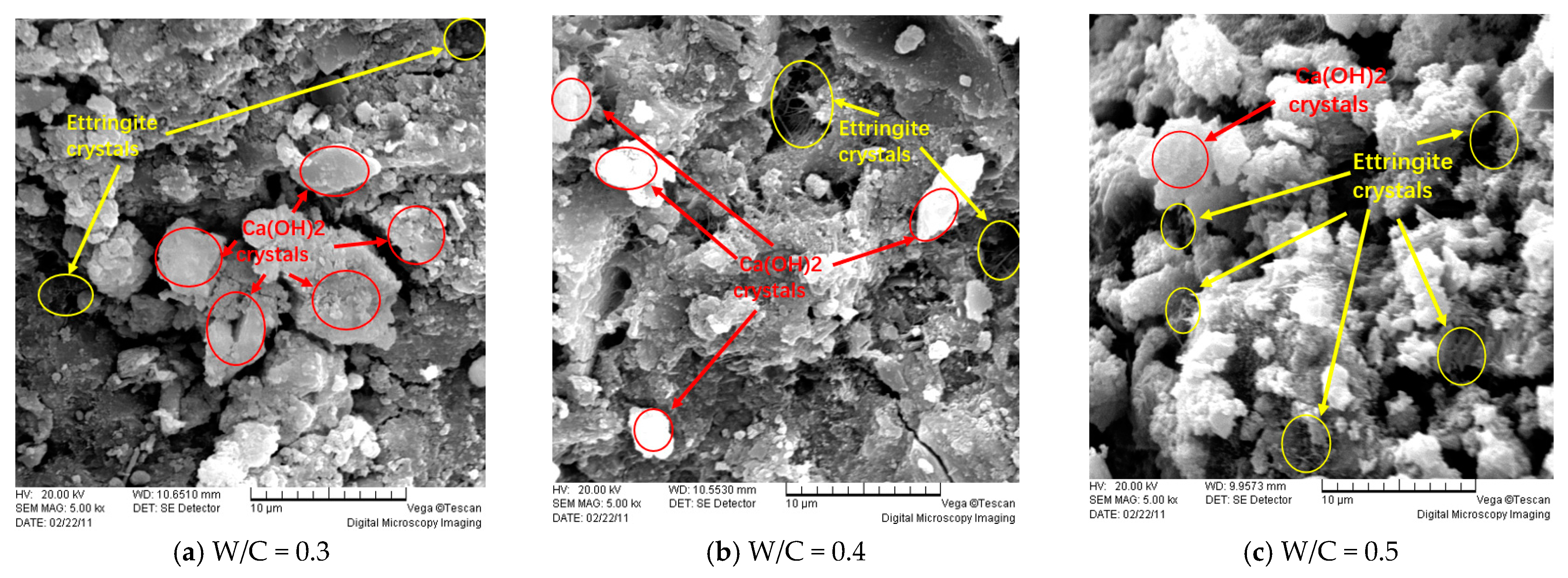 Coatings 14 01008 g031