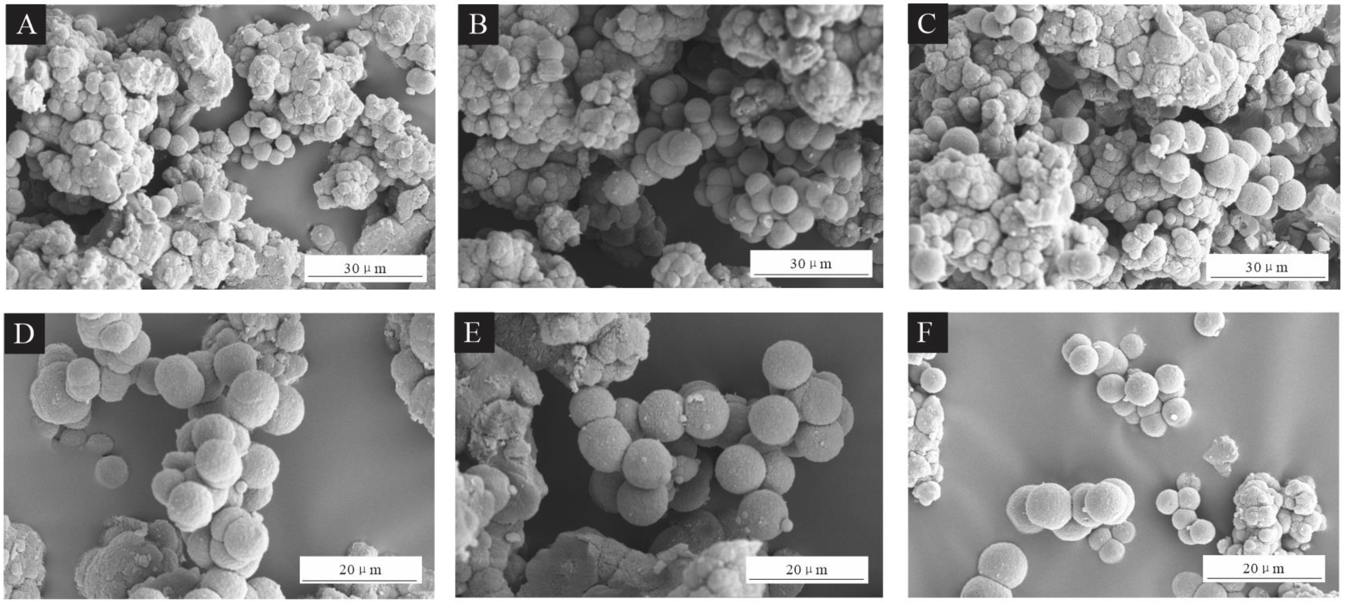 Coatings 14 01011 g001