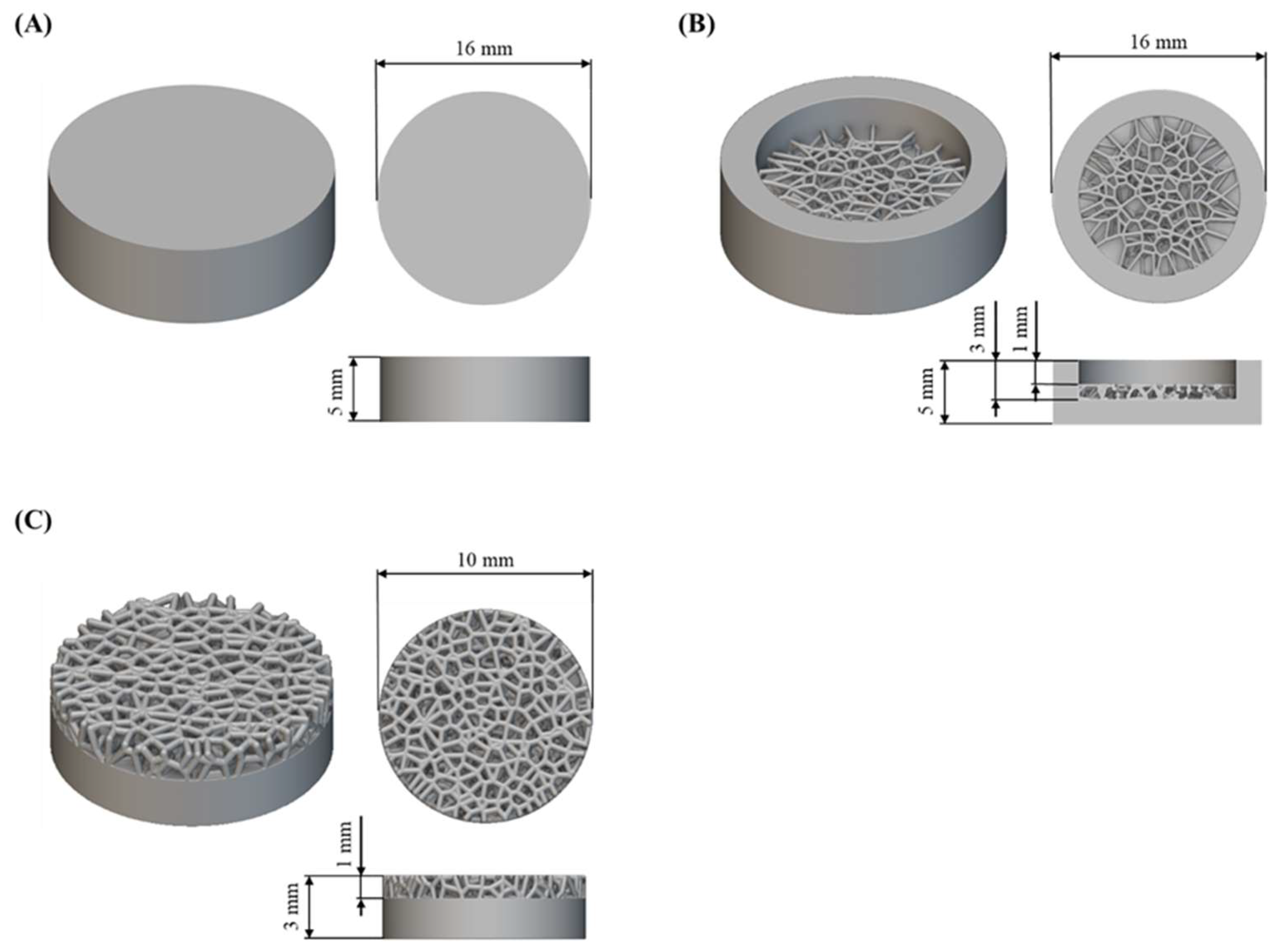 Coatings 14 01018 g002