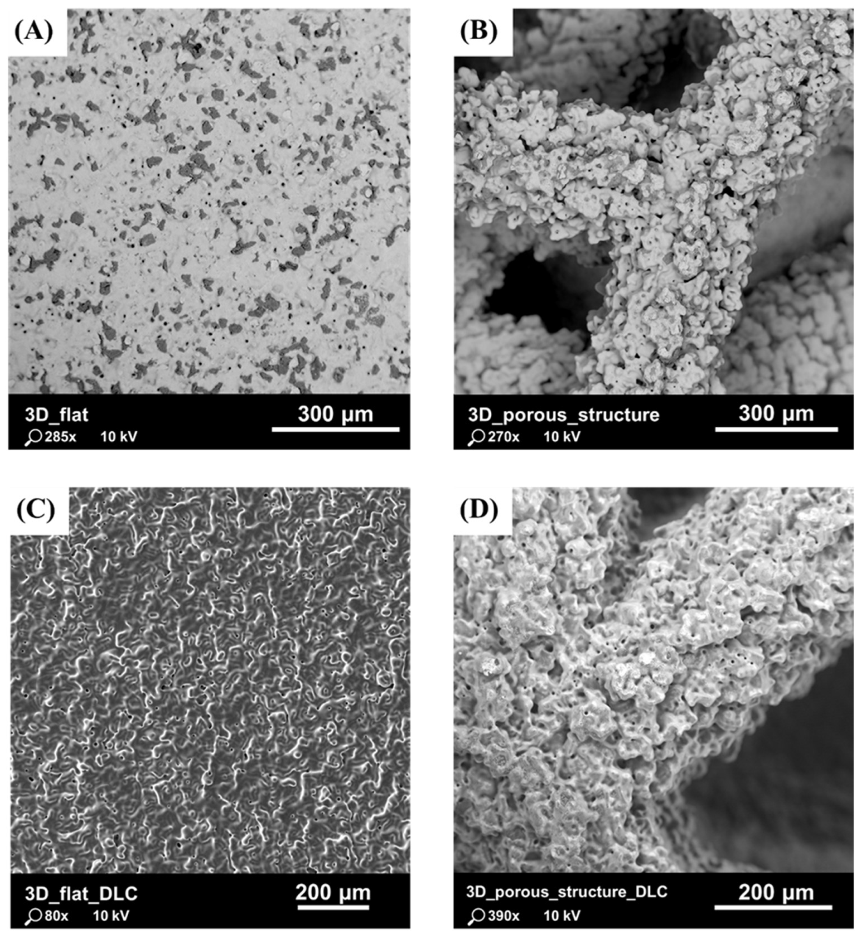 Coatings 14 01018 g003