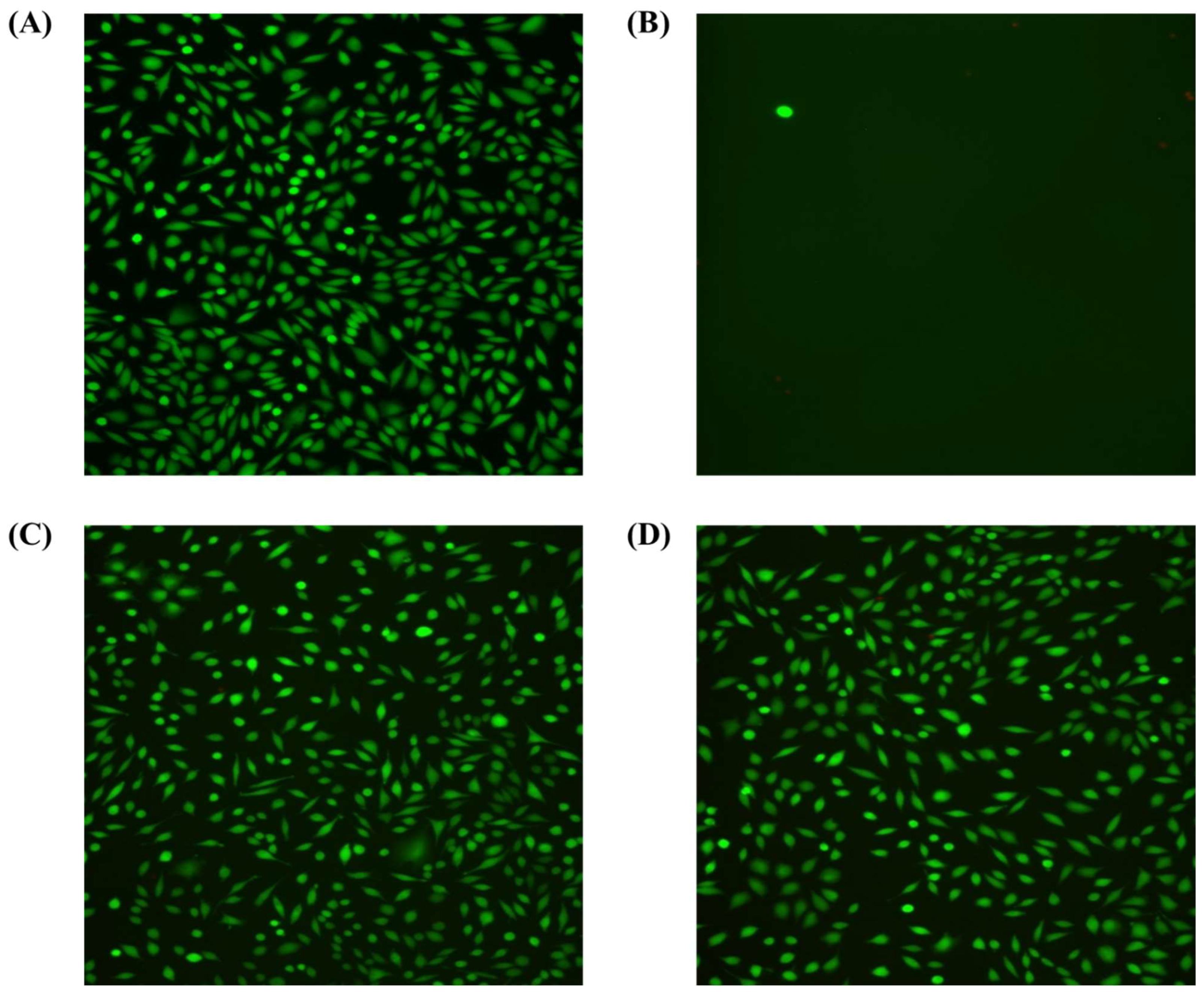 Coatings 14 01018 g010