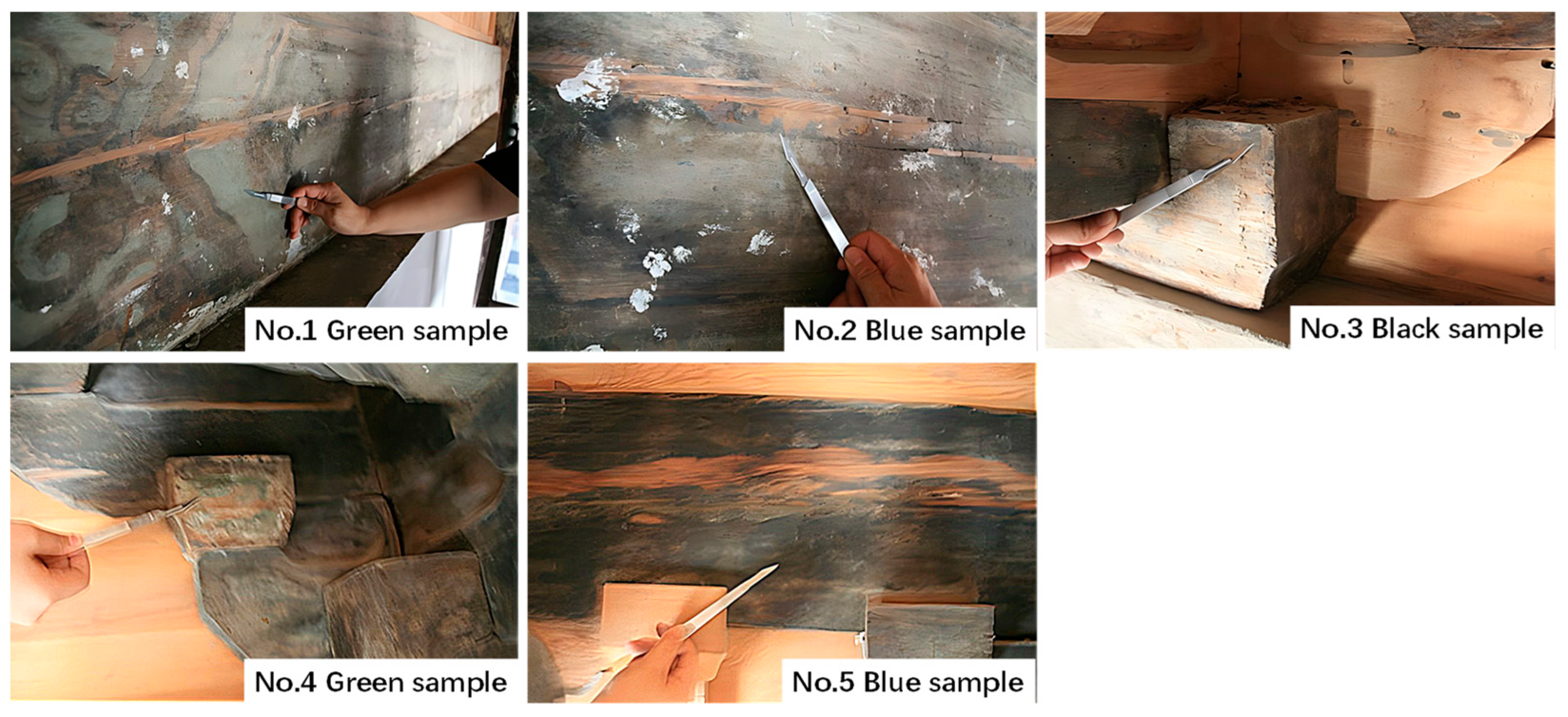 Coatings 14 01022 g006