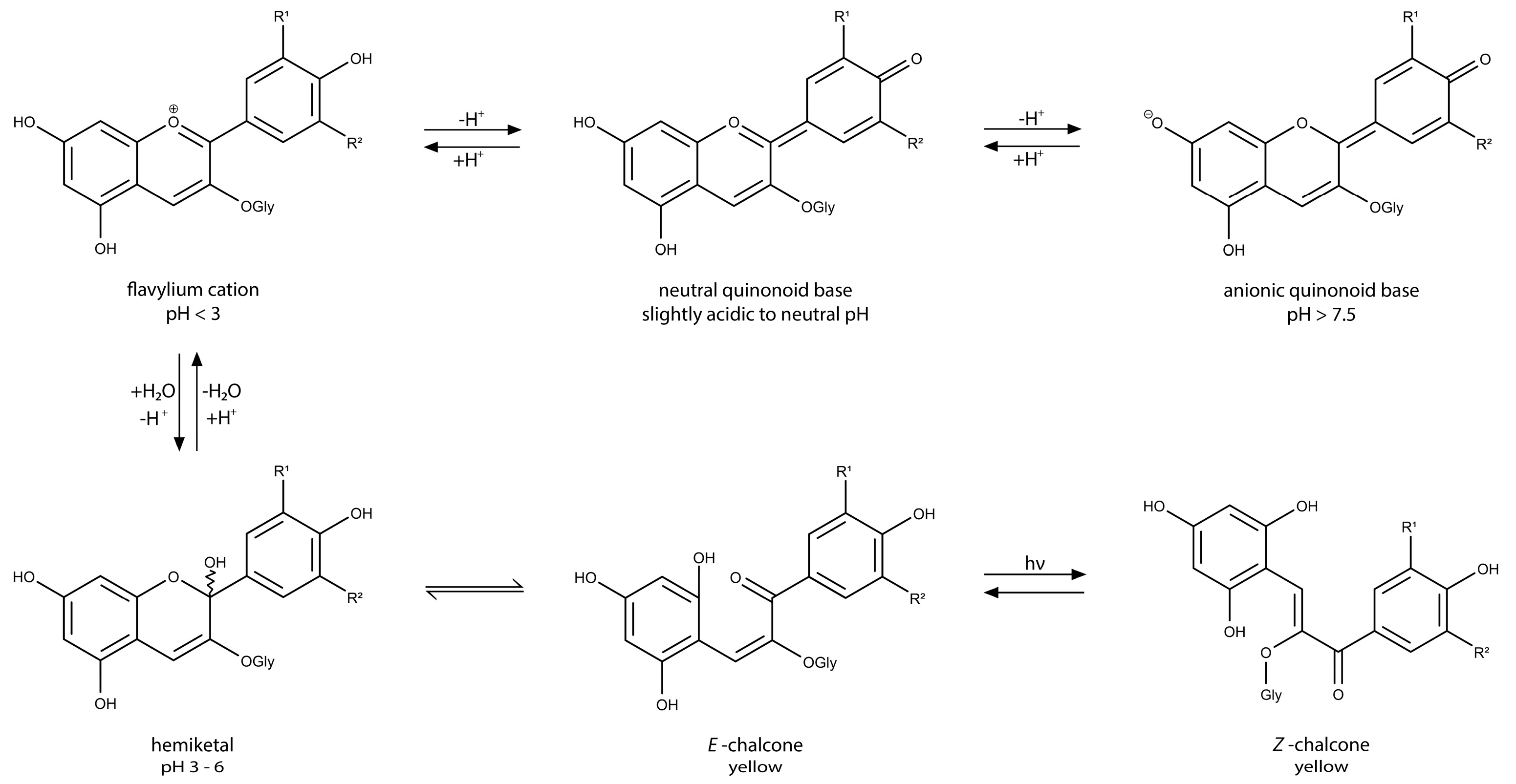 Coatings 14 01025 g002