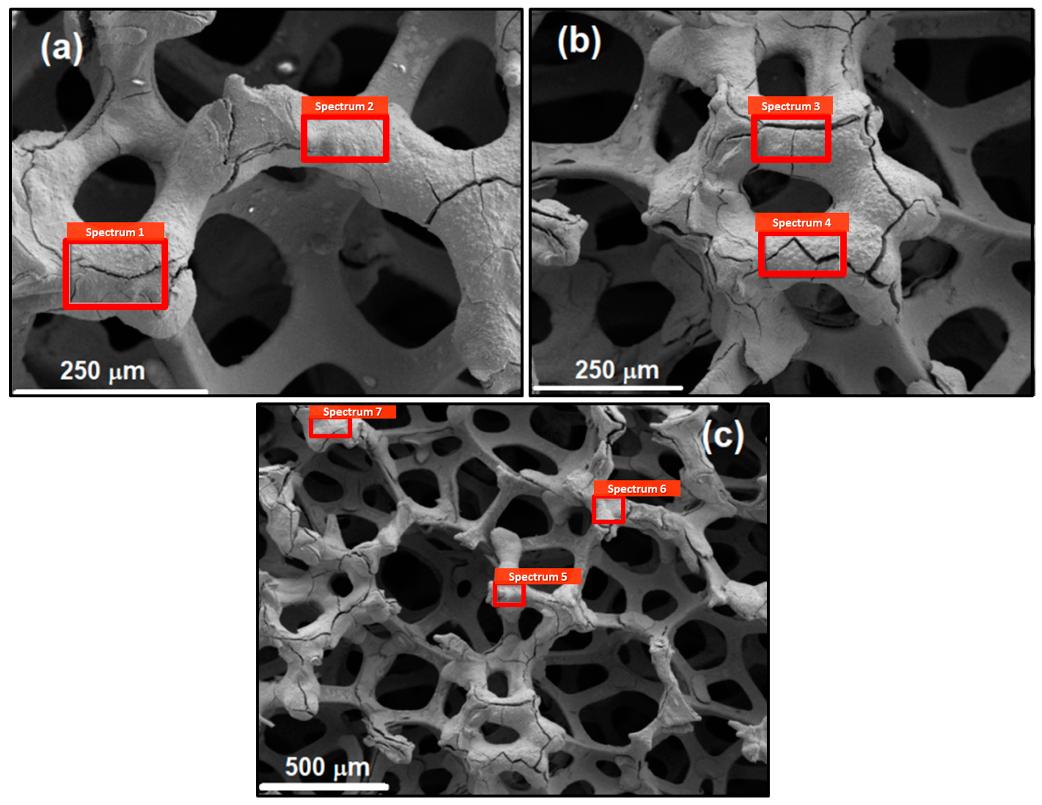 Coatings 14 01026 g001