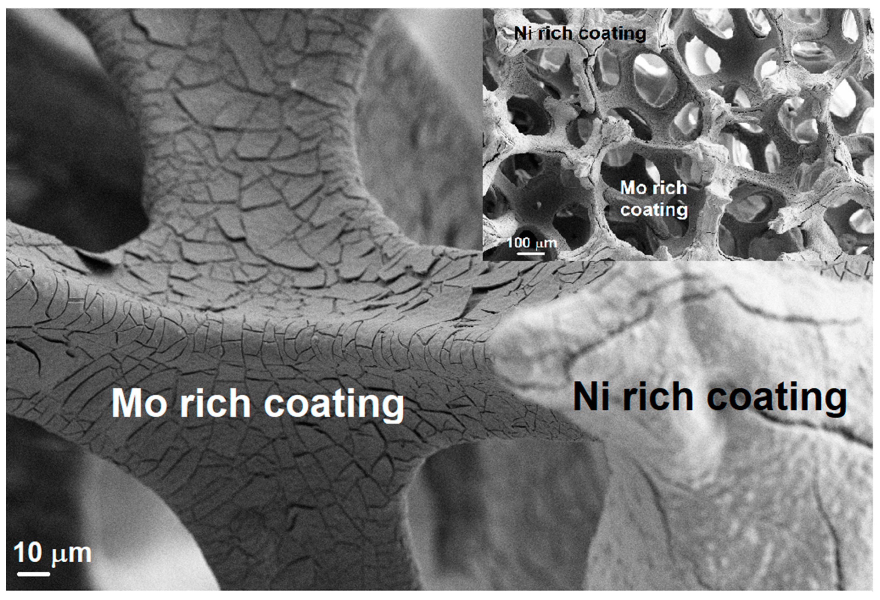 Coatings 14 01026 g002