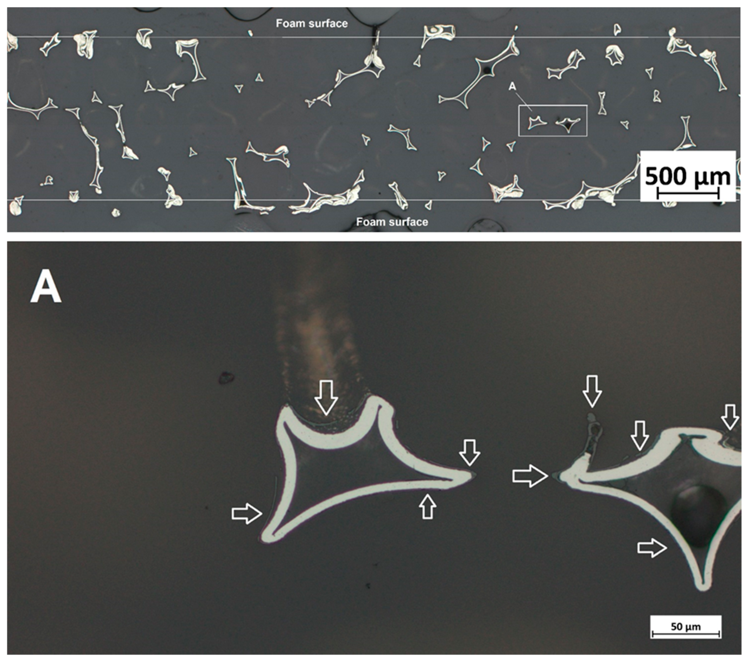 Coatings 14 01026 g003