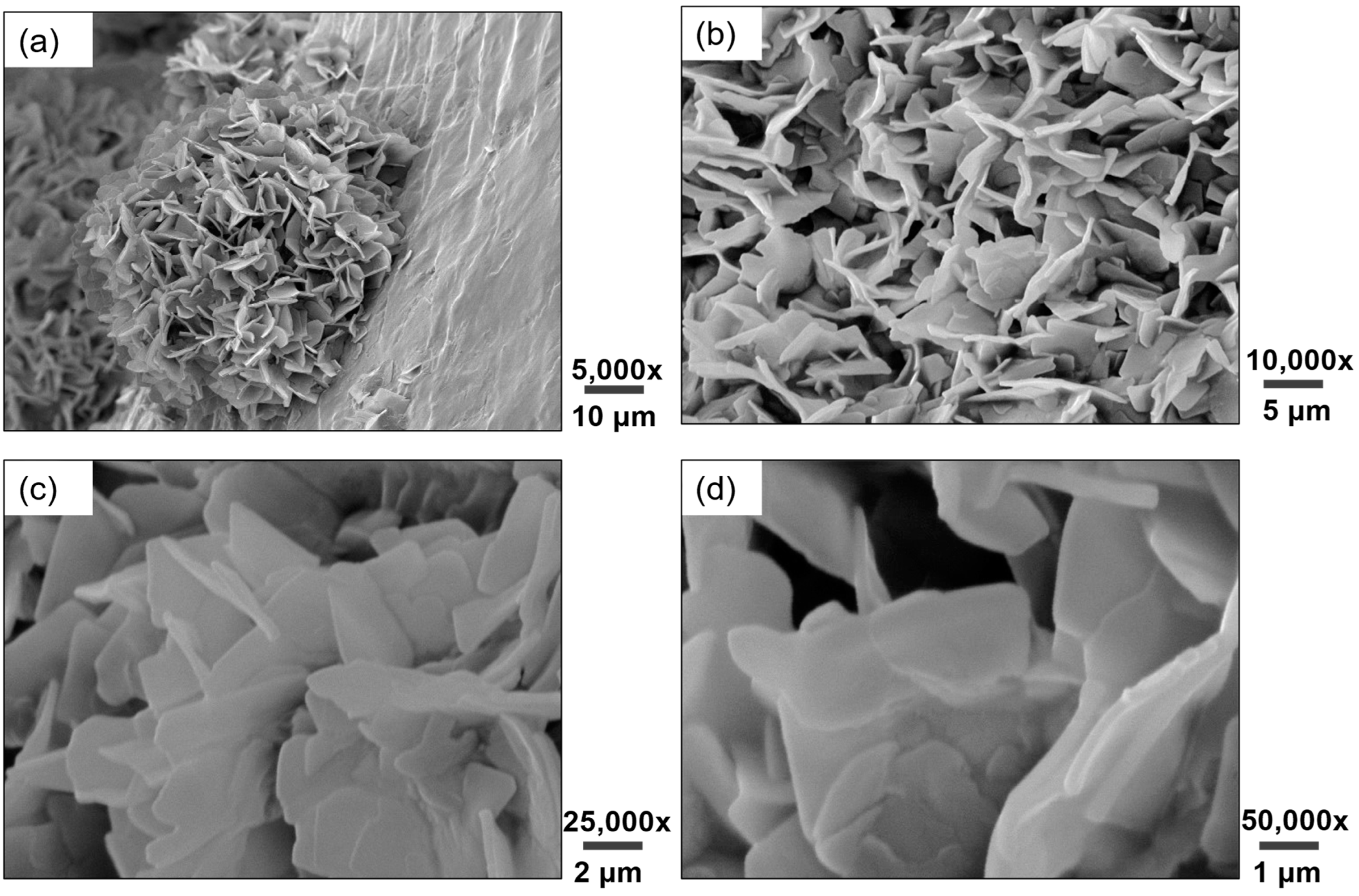 Coatings 14 01028 g001 Coatings 14 01028 g001