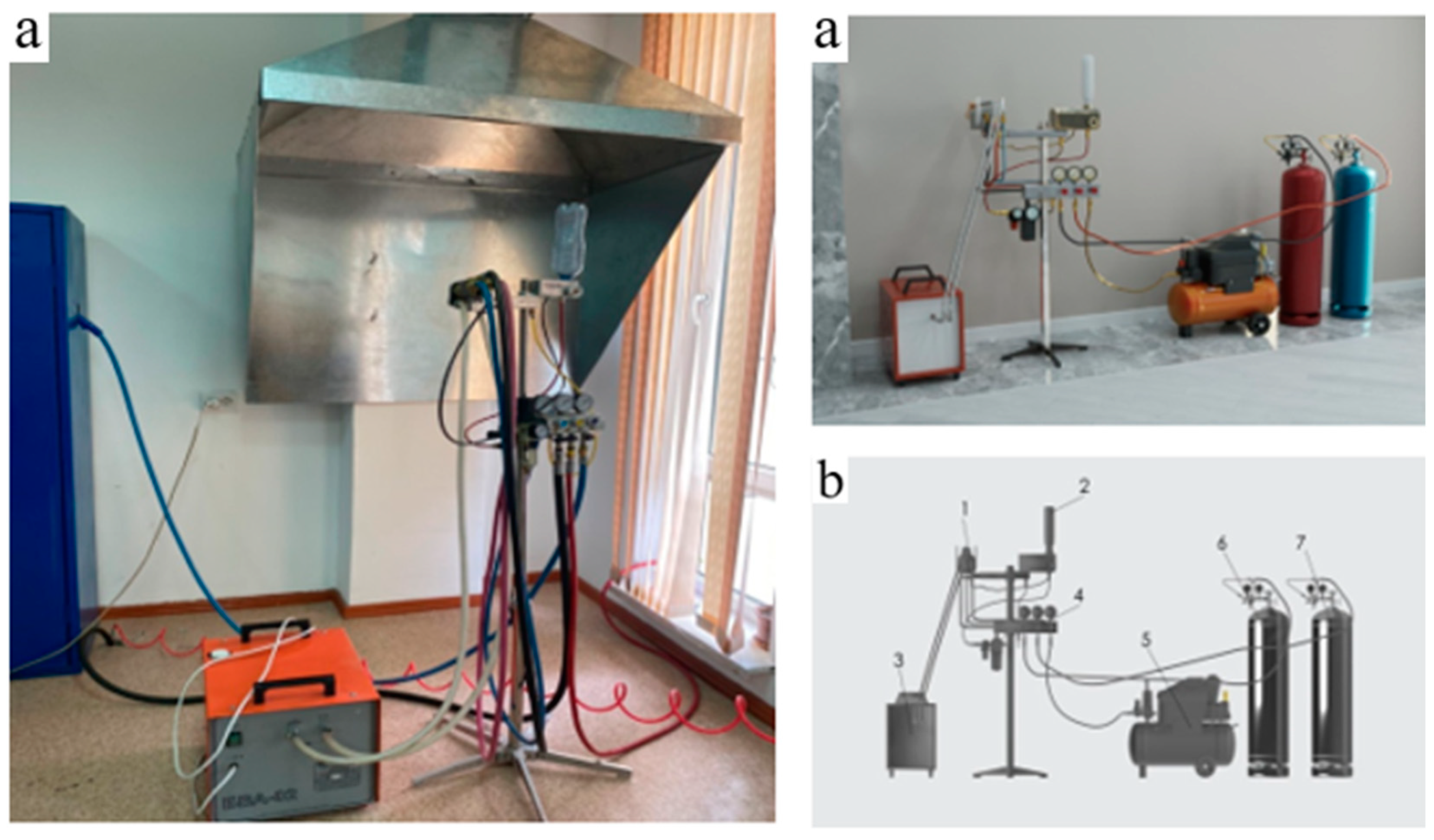 Coatings 14 01030 g001