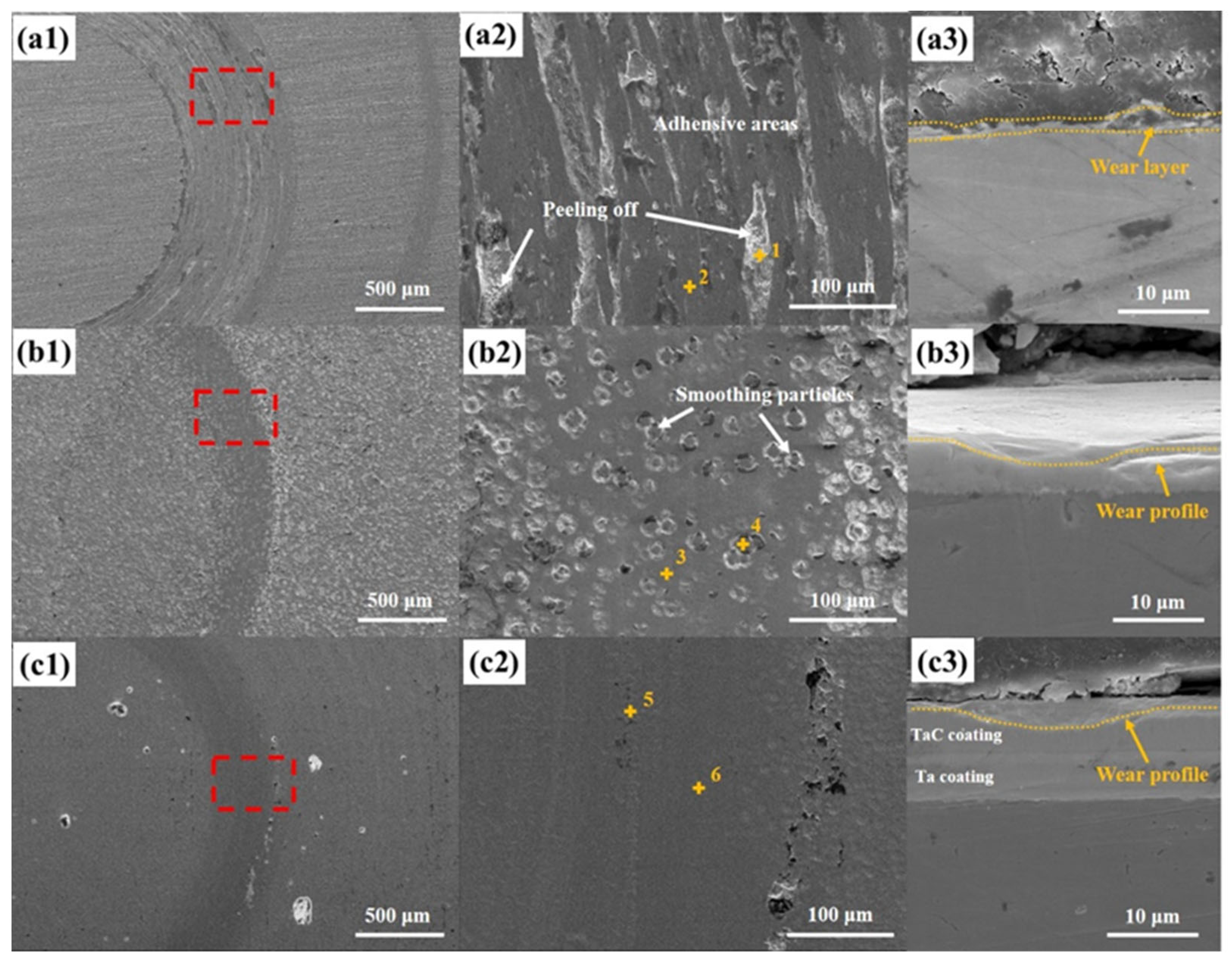 Coatings 14 01039 g007