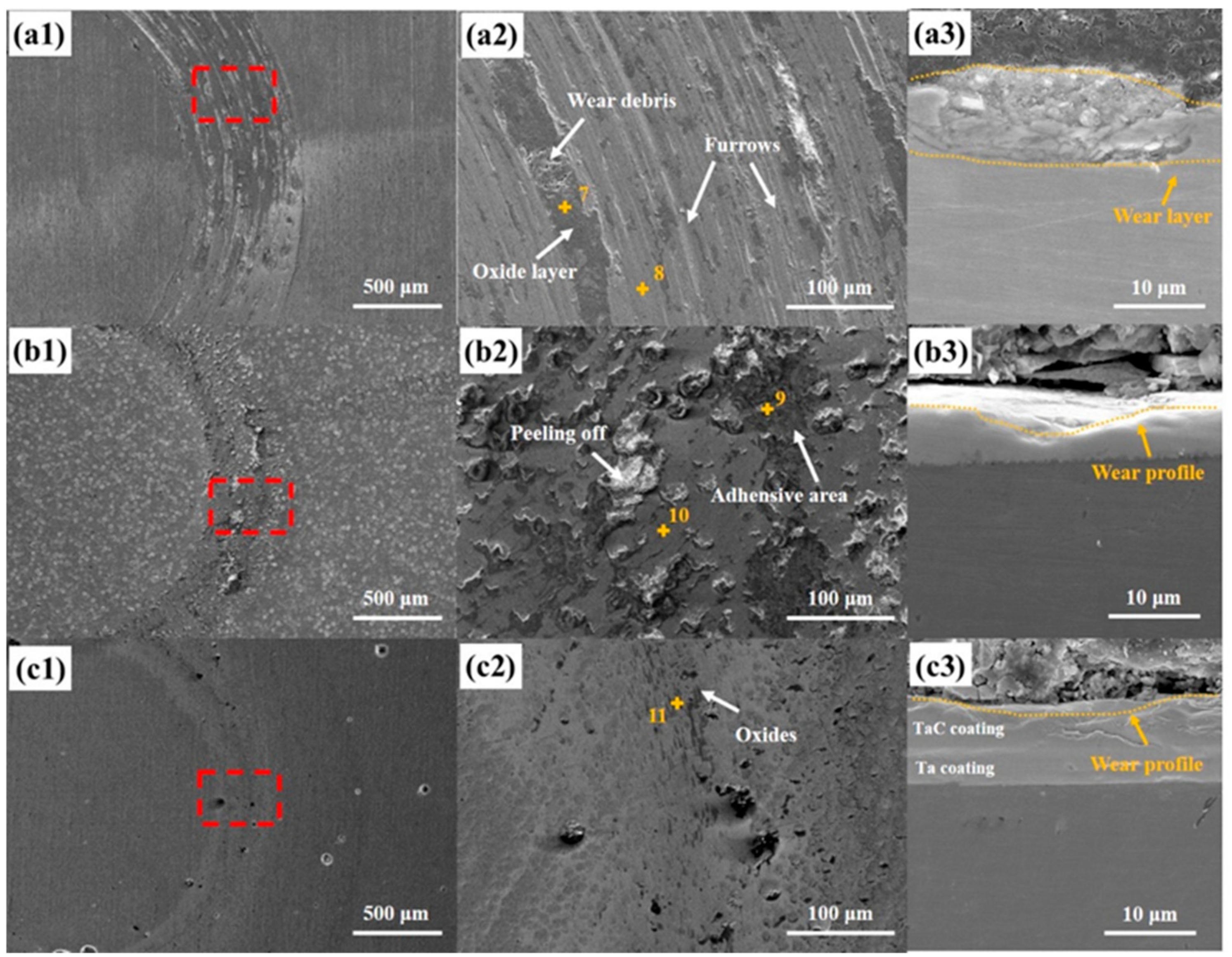 Coatings 14 01039 g008