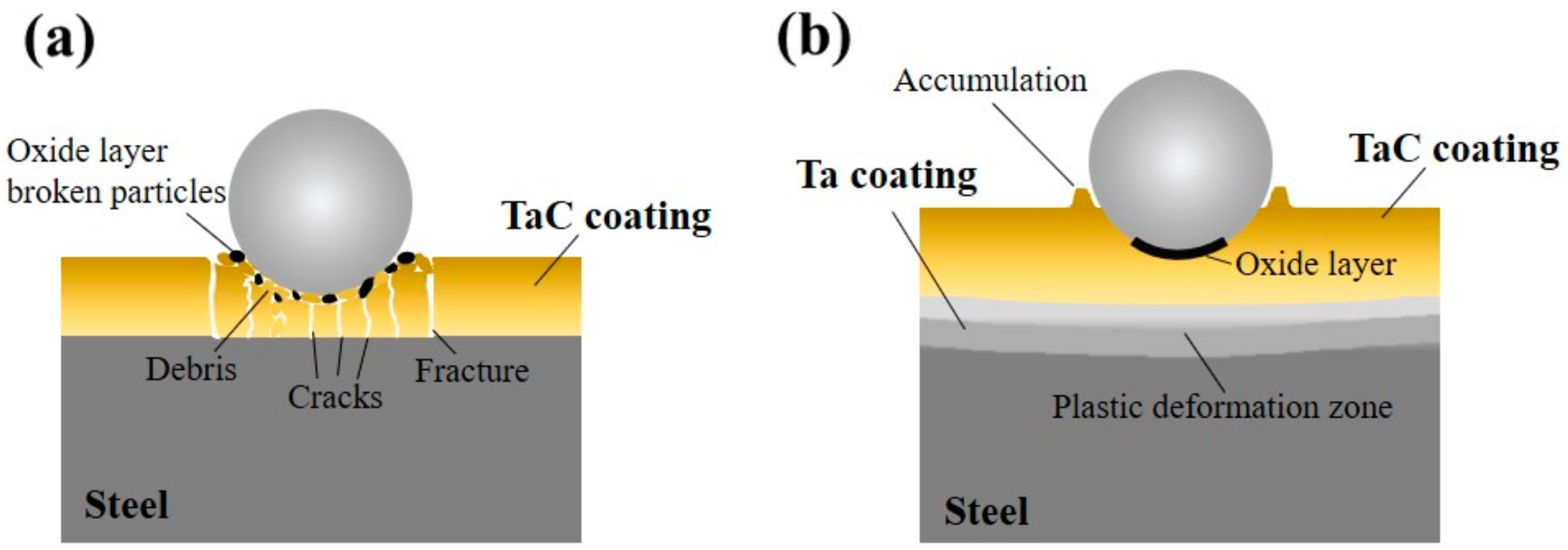 Coatings 14 01039 g010
