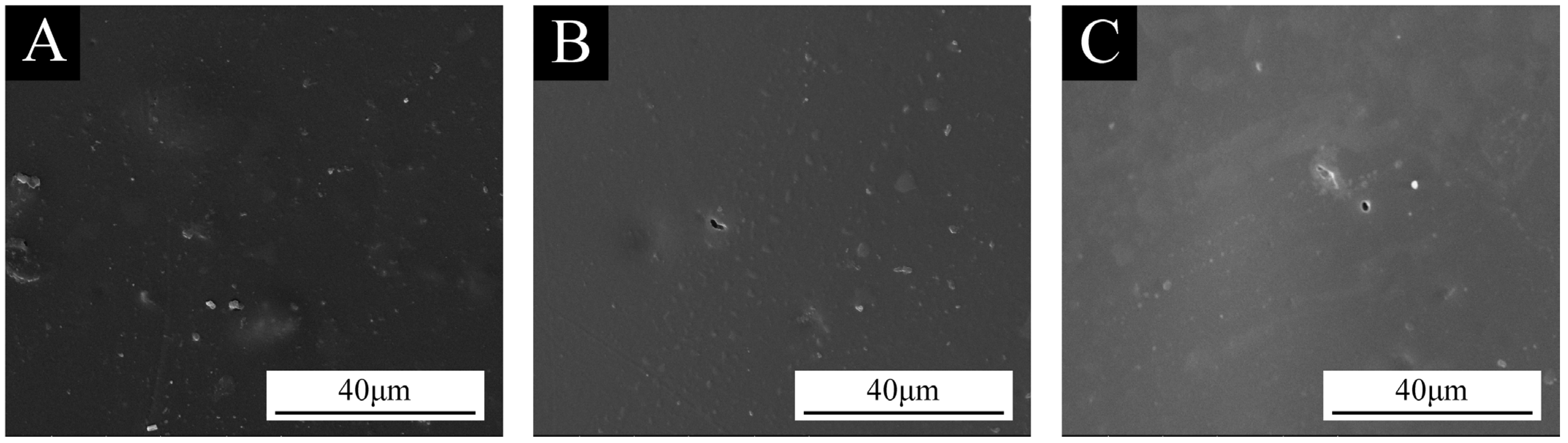 Coatings 14 01042 g011