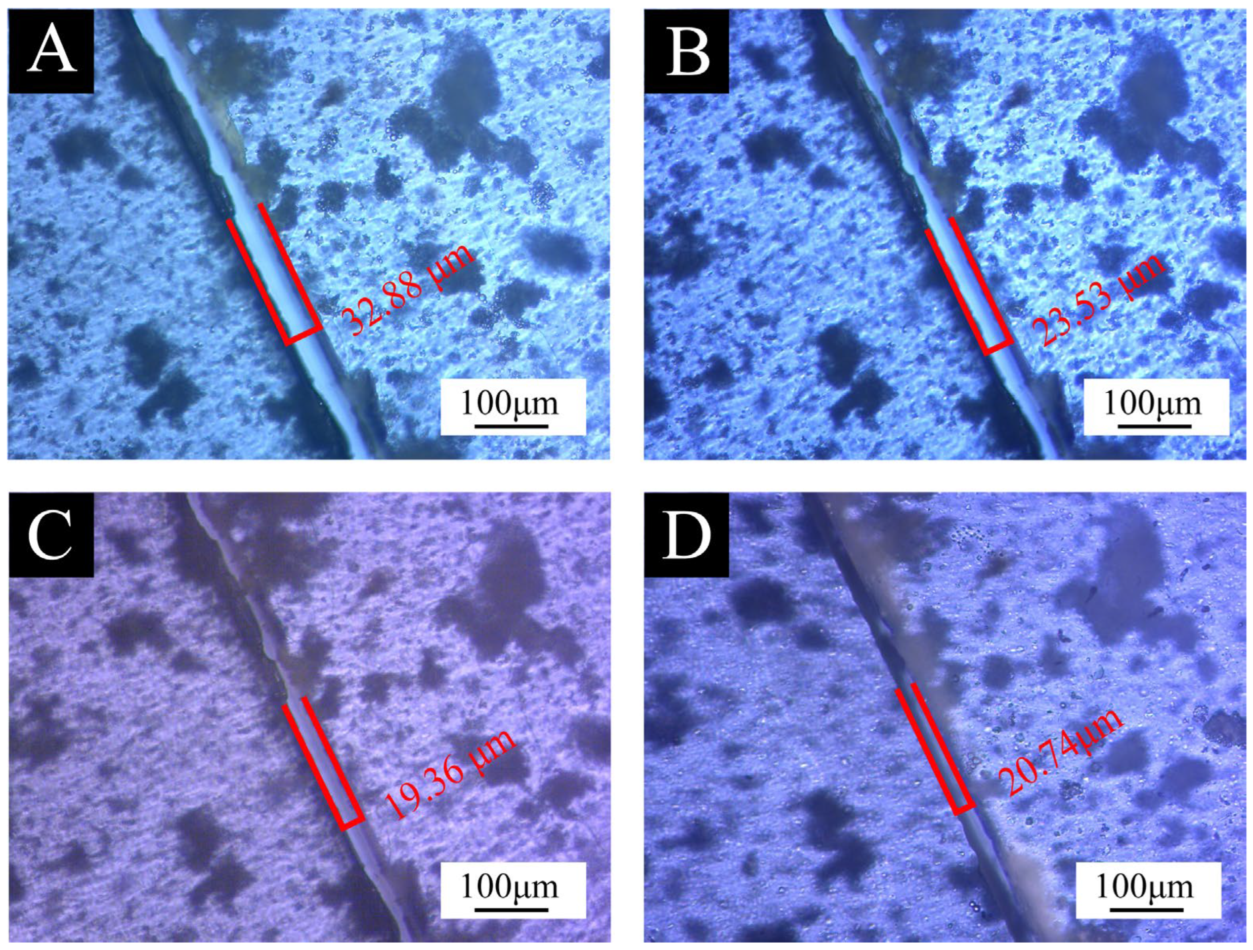 Coatings 14 01042 g016