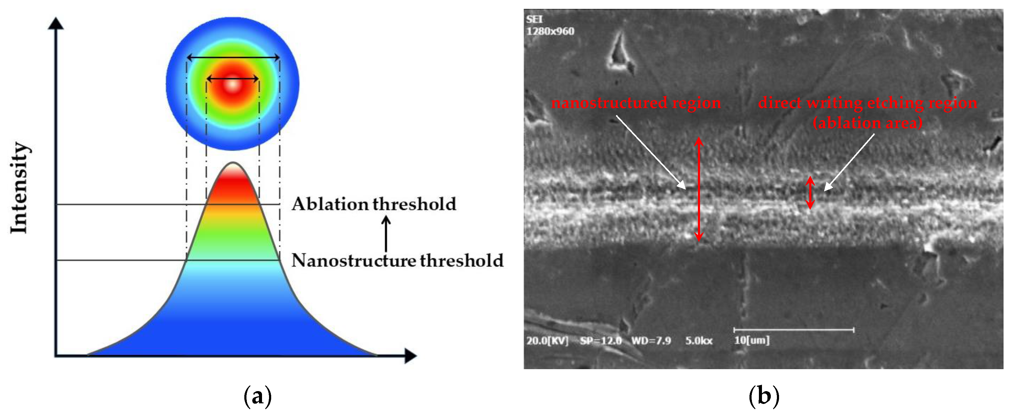 Coatings 14 01045 g003