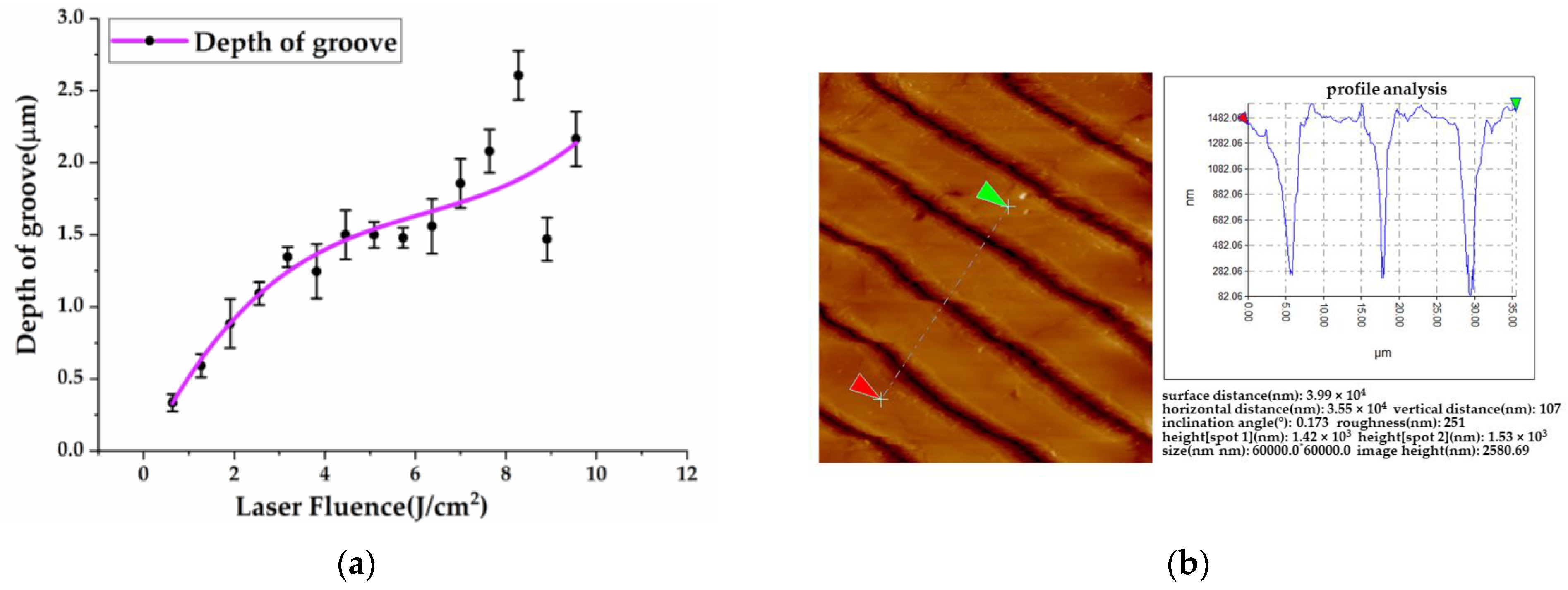 Coatings 14 01045 g004