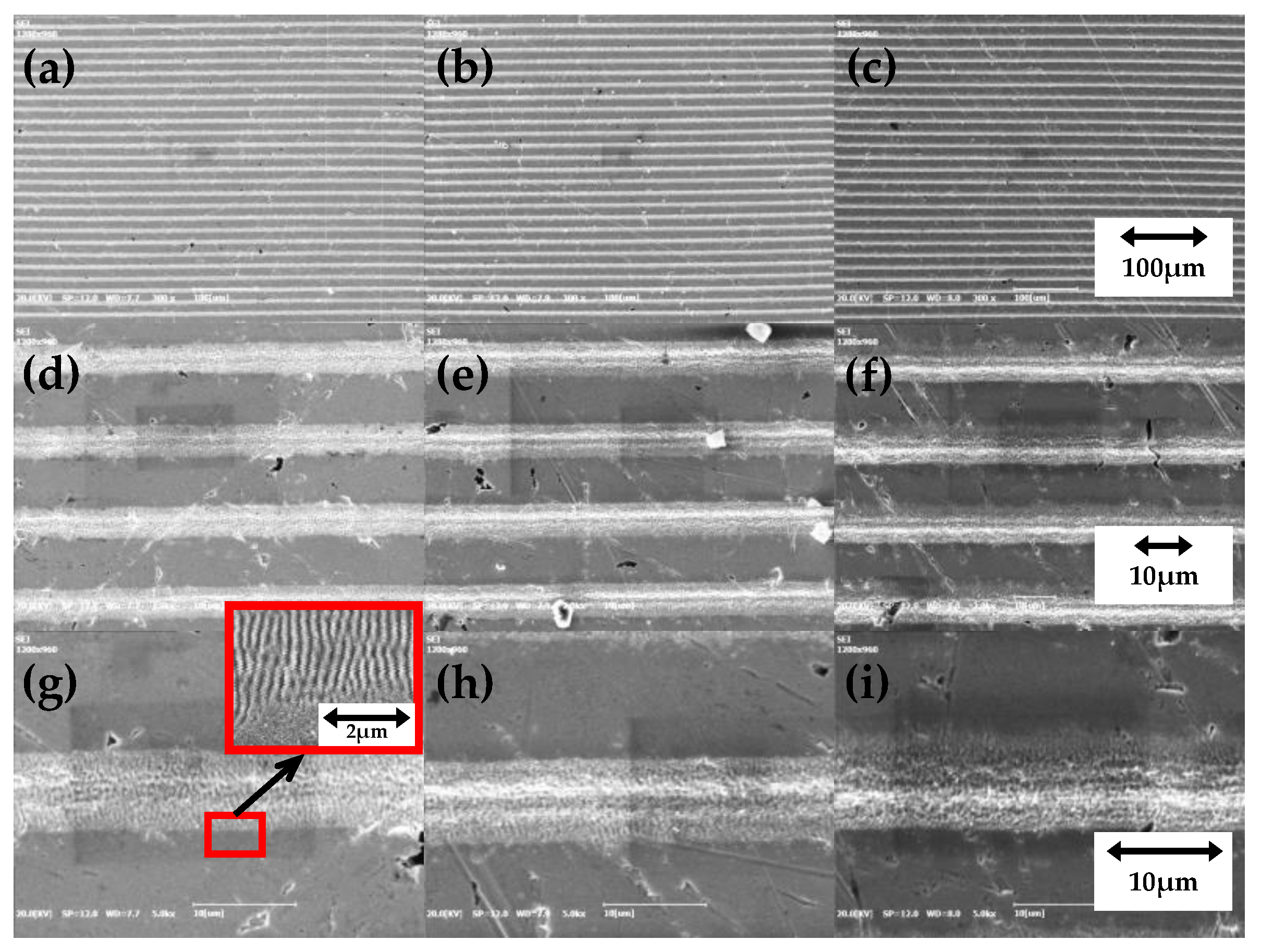 Coatings 14 01045 g006
